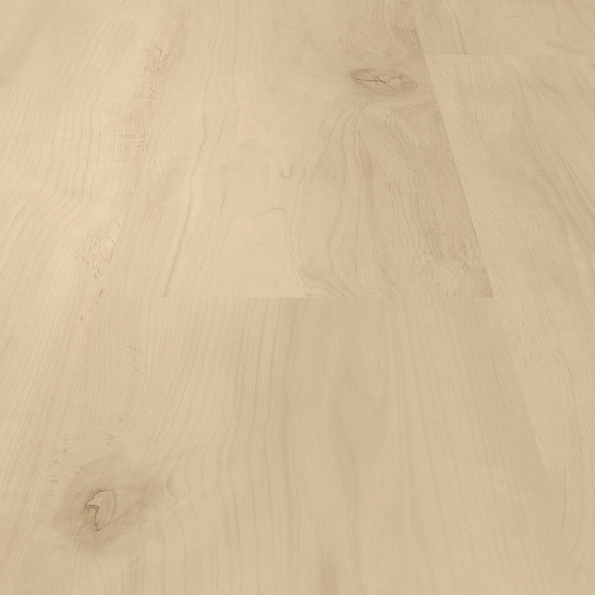 Detail Ansicht - ter Hürne Laminat Trend Edition Erle Feng Shui Detail Ansicht - ter Hürne 1101021827