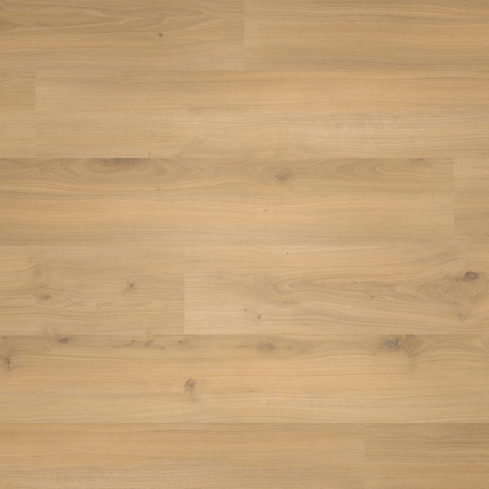 Parador Laminat Basic 400 Eiche Horizont Natur Seidenmatte Struktur 0V