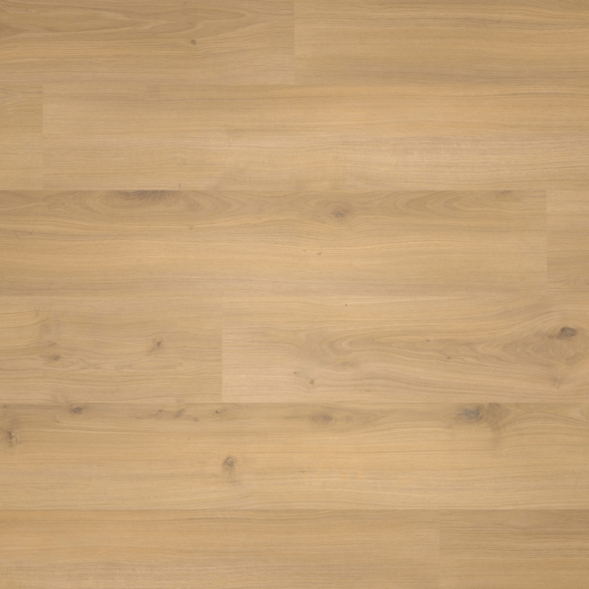 Parador Laminat Basic 400 Eiche Horizont Natur Seidenmatte Struktur 0V