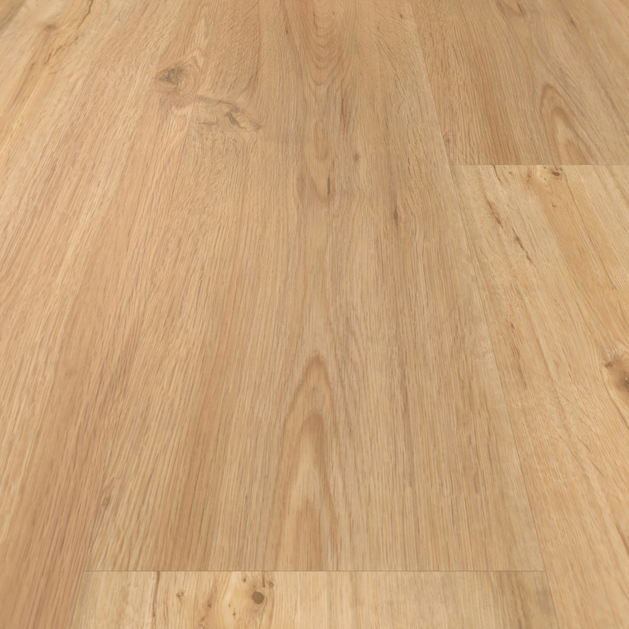 Detail Ansicht - Parador Klebe-Vinyl Basic 2.0 Eiche natur Detail Ansicht - Parador 1730779