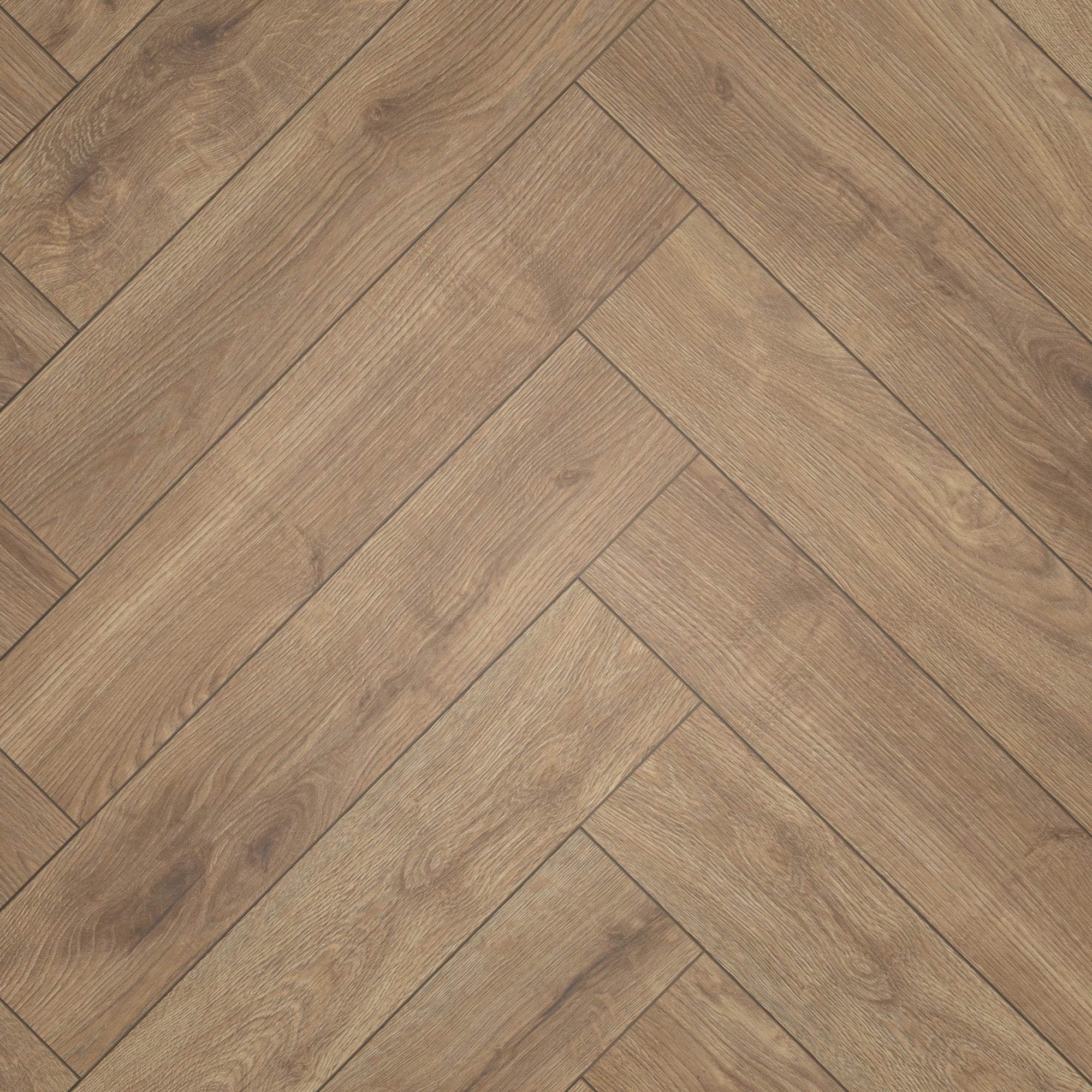 Draufsicht - ter Hürne Laminat Herringbone Edition Eiche Lodge Draufsicht - ter Hürne 1101021849