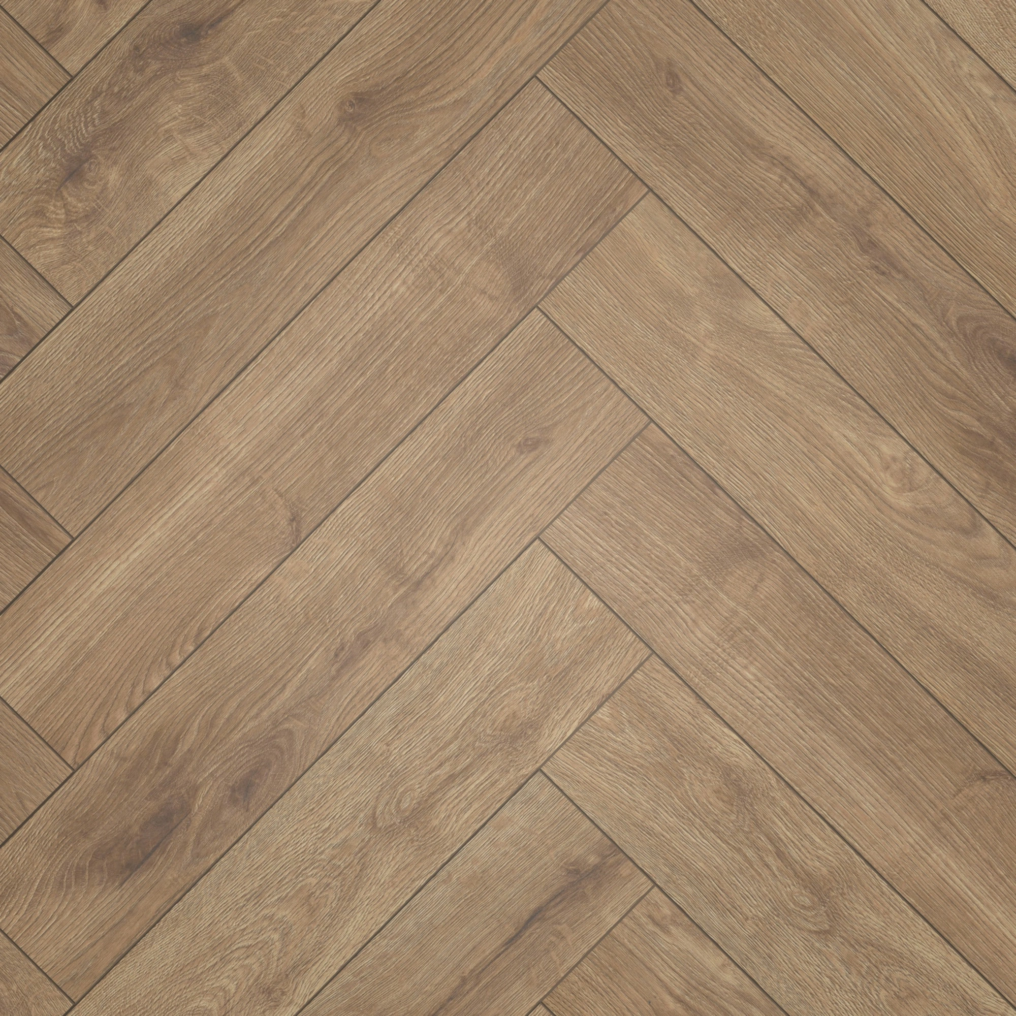 Draufsicht - ter Hürne Laminat Herringbone Edition Eiche Lodge Draufsicht - ter Hürne 1101021849