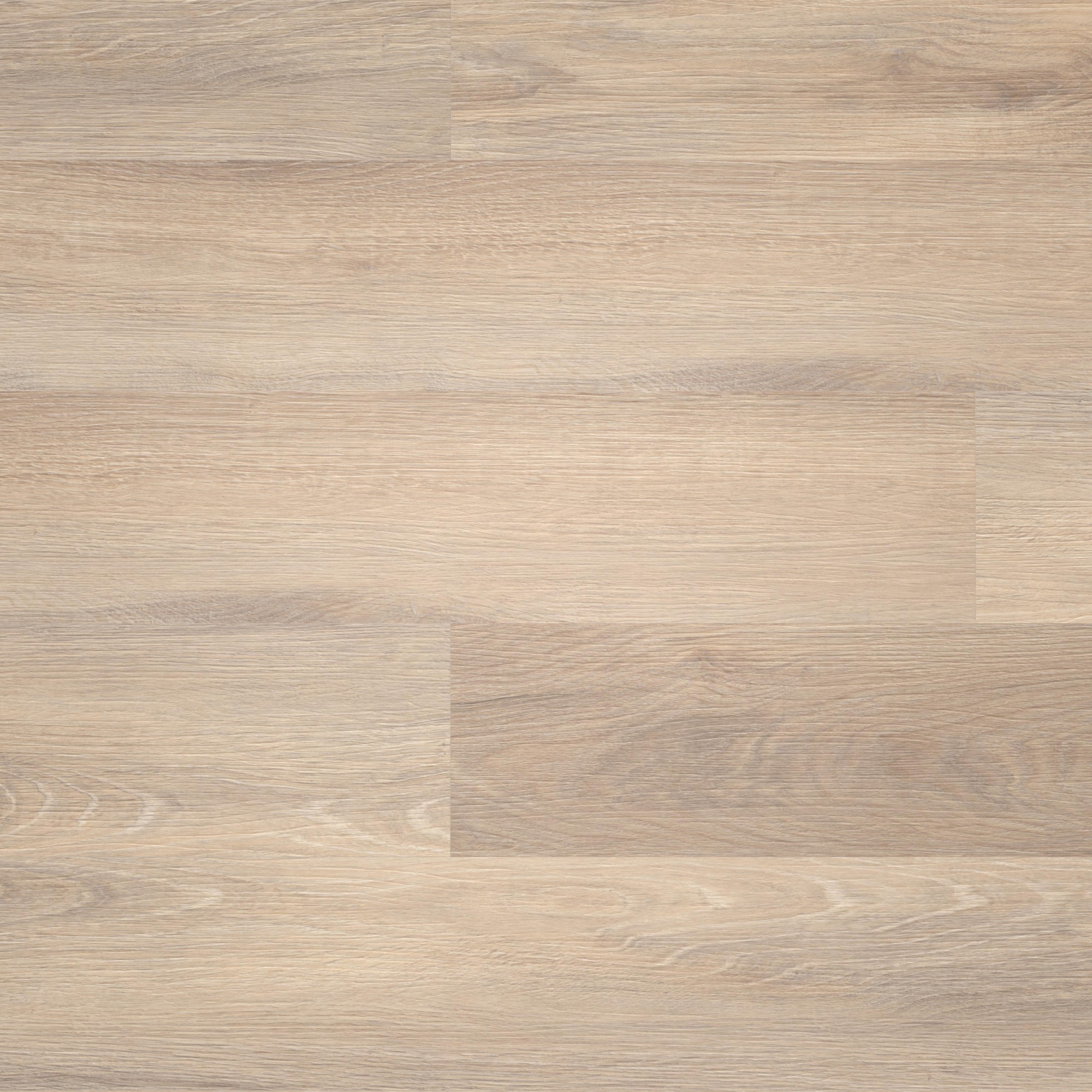 Draufsicht - wineo Rigid Klick-Vinyl wineo 400 wood L Vibrant Oak Beige Draufsicht - wineo RLC282WL