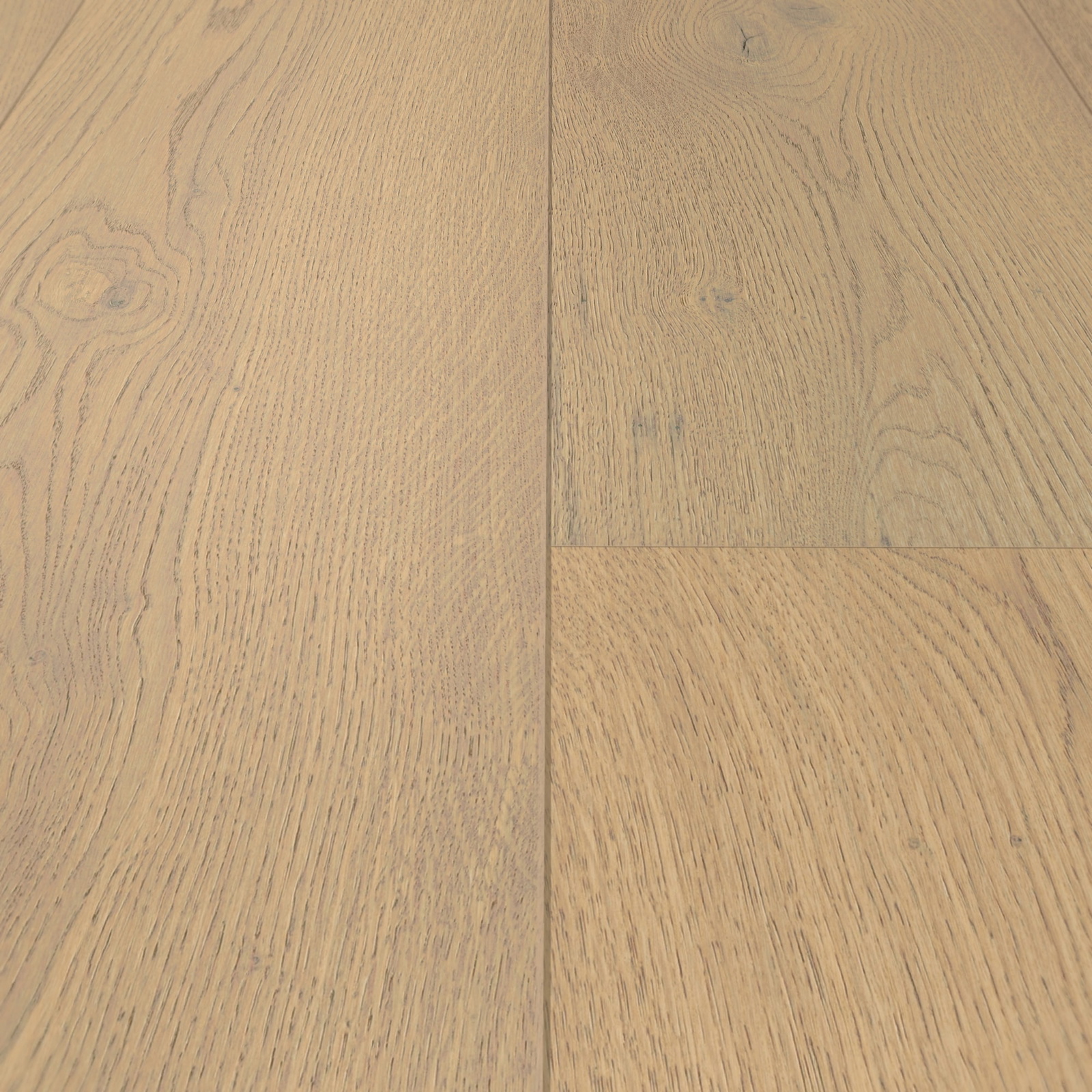 Detail Ansicht - MEISTER 500214-2600320-20226