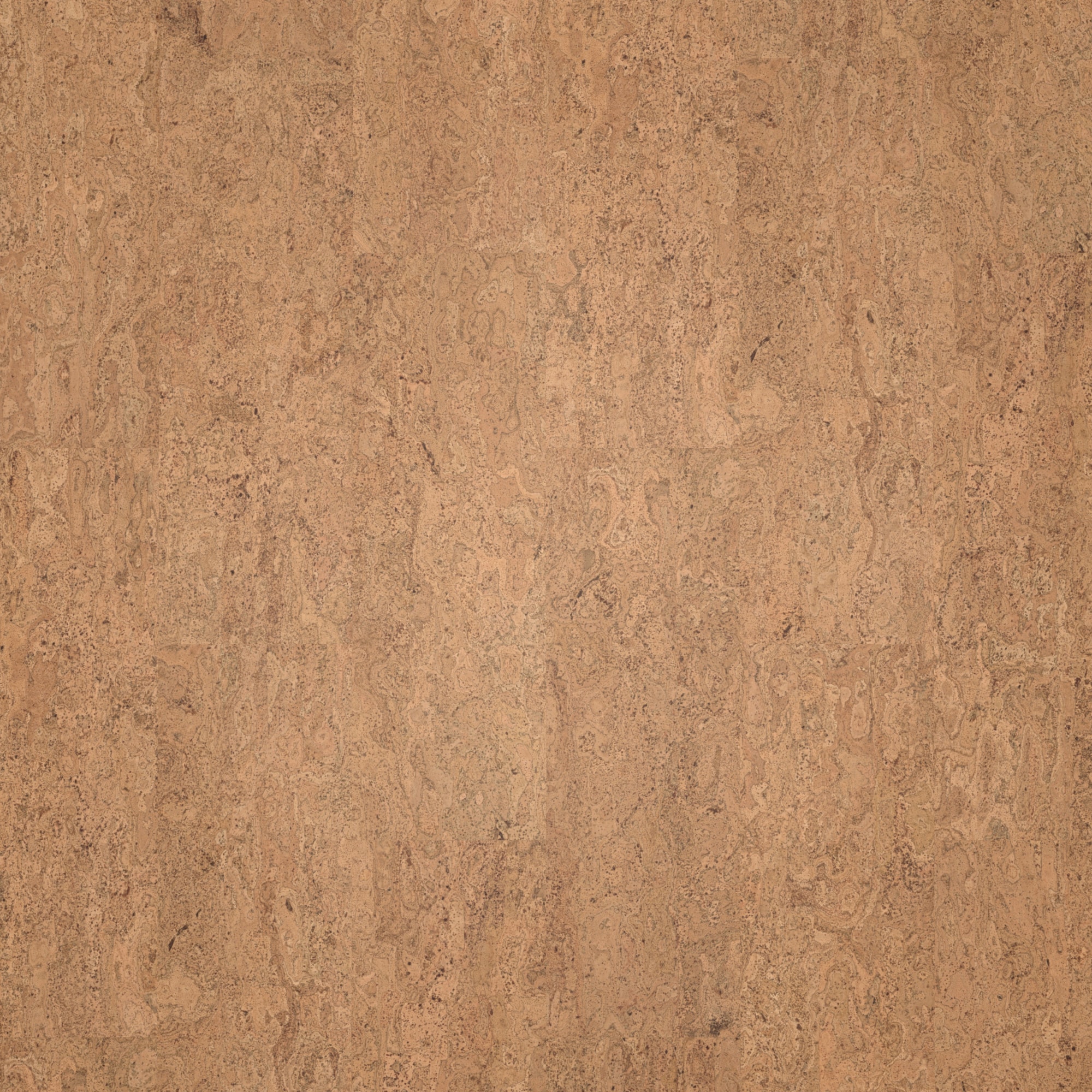 Draufsicht - Wicanders Wise HDF Klick-Korkboden cork Essence Originals Symphony Draufsicht - Wicanders Wise 80002241