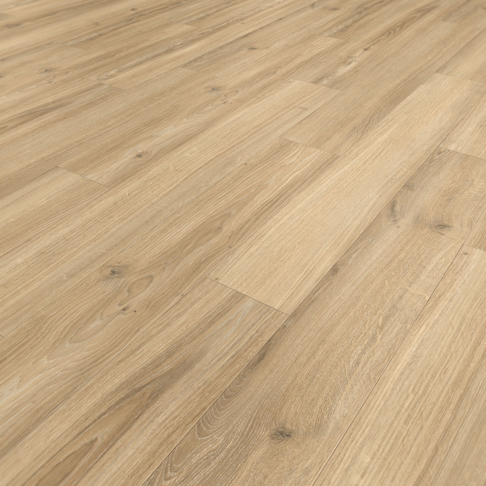 Parador Laminat Basic 400 Eiche Studioline beige Naturmattstruktur 4V