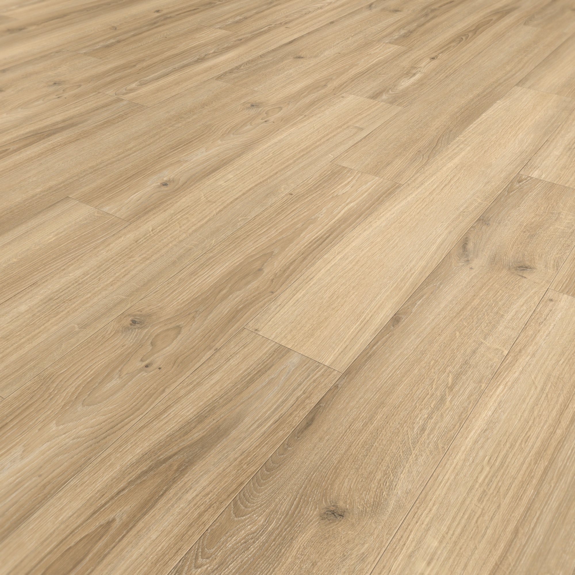 Parador Laminat Basic 400 Eiche Studioline beige Naturmattstruktur 4V Parador Laminat Basic 400 Eiche Studioline beige Naturmattstruktur 4V
