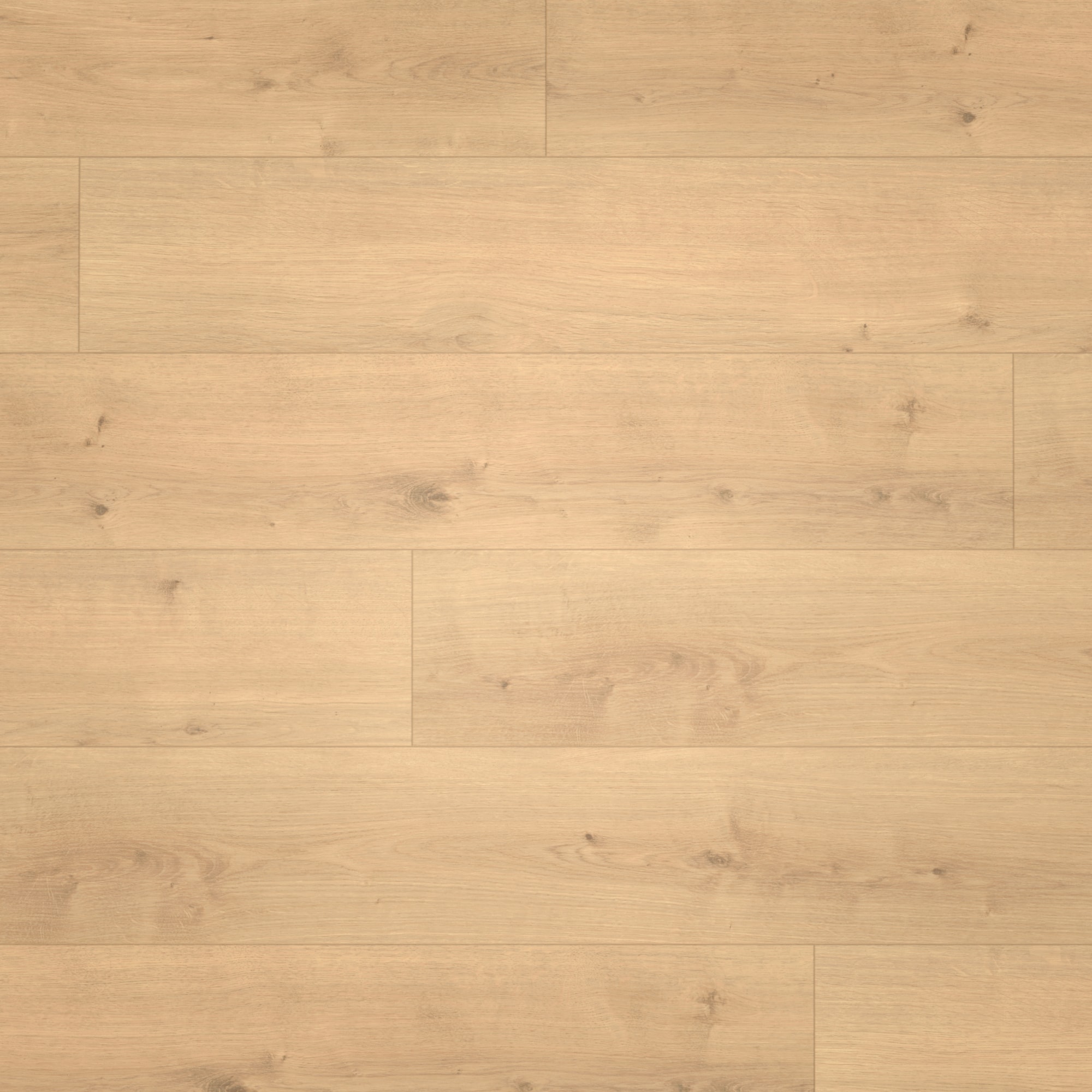 Draufsicht - Parador HDF Klick-Designboden Modular ONE Eiche Pure natur Draufsicht - Parador 1730766