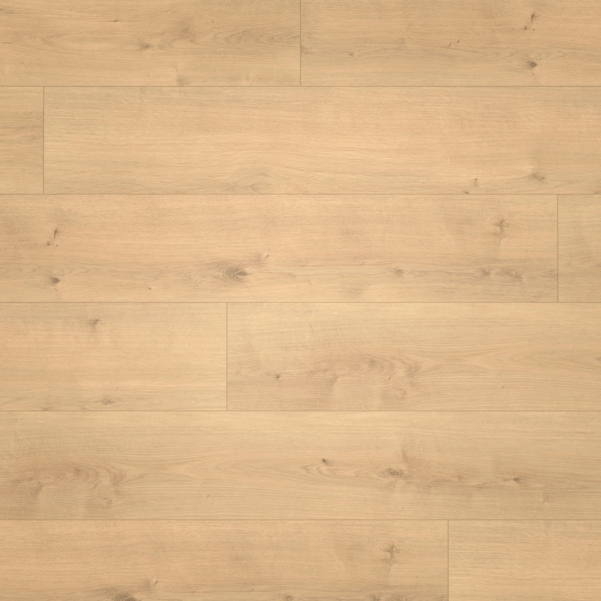 Draufsicht - Parador HDF Klick-Designboden Modular ONE Eiche Pure natur Draufsicht - Parador 1730766