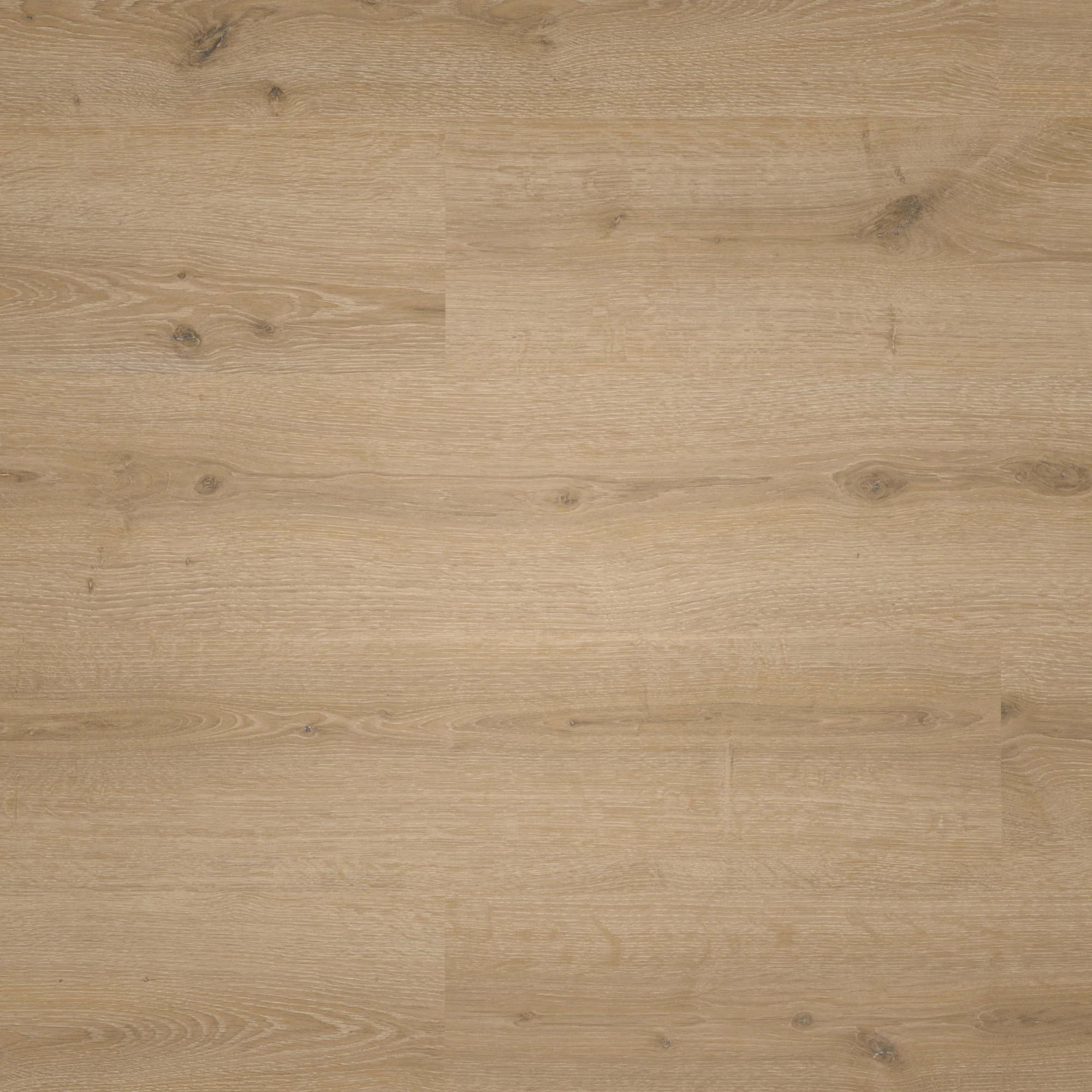Draufsicht - MEISTER Laminat LC 150 Turmeiche creme Draufsicht - MEISTER 600014-1288198-07120
