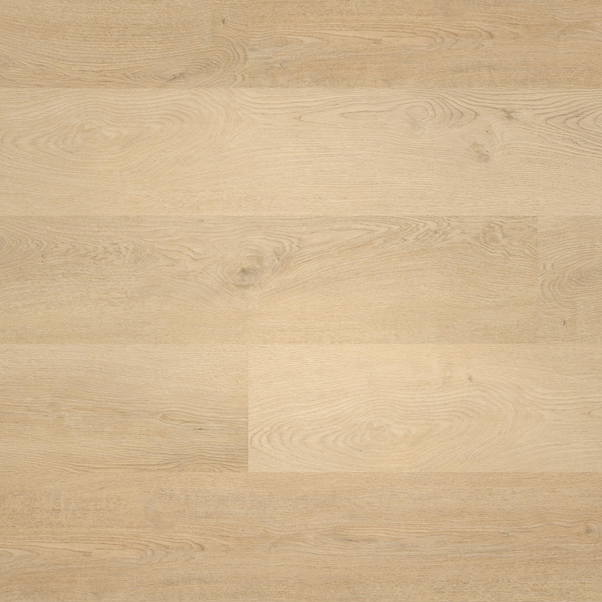 Draufsicht - wineo MLD281WL
