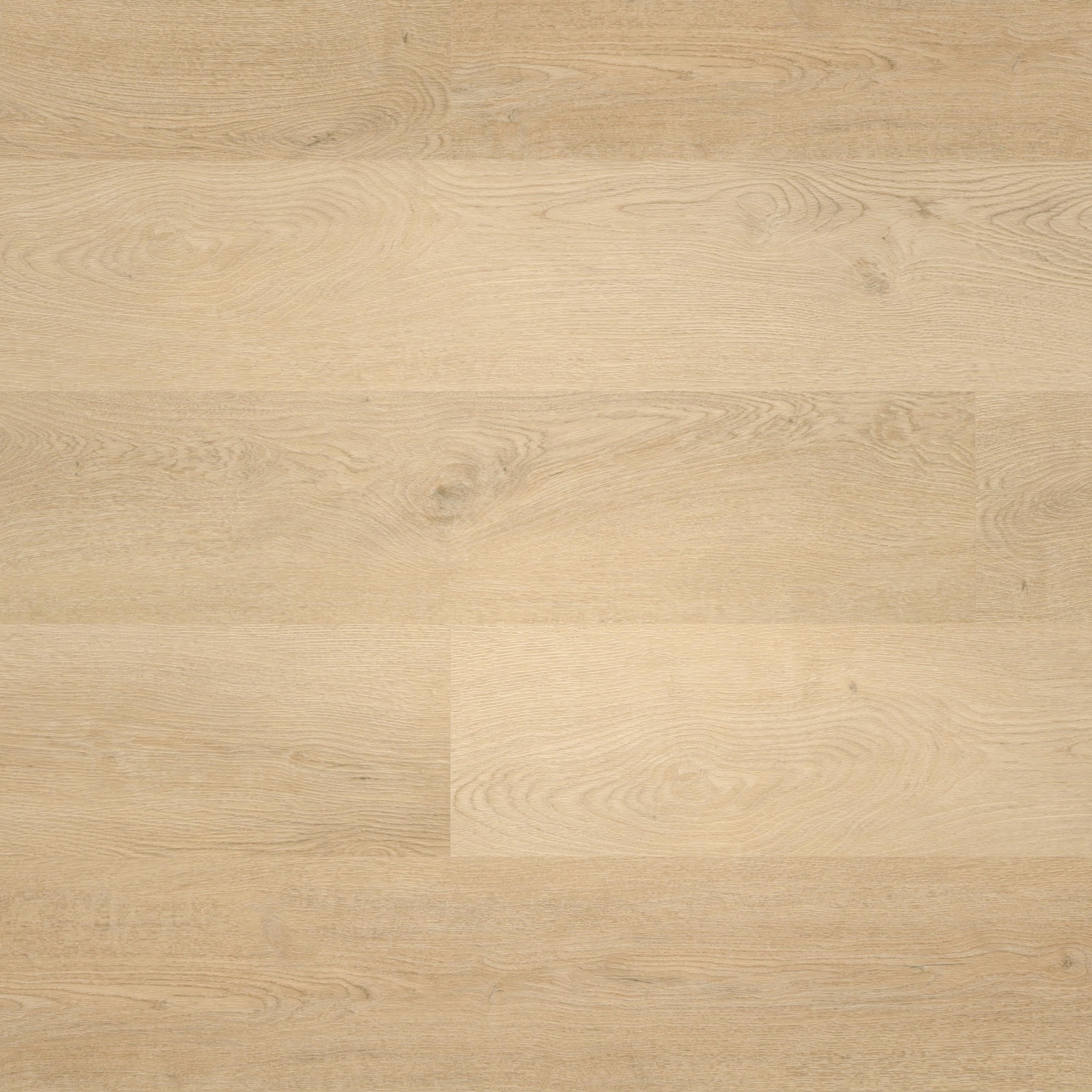 Draufsicht - wineo HDF Klick-Vinyl wineo 400 wood L Plain Oak Beige Draufsicht - wineo MLD281WL