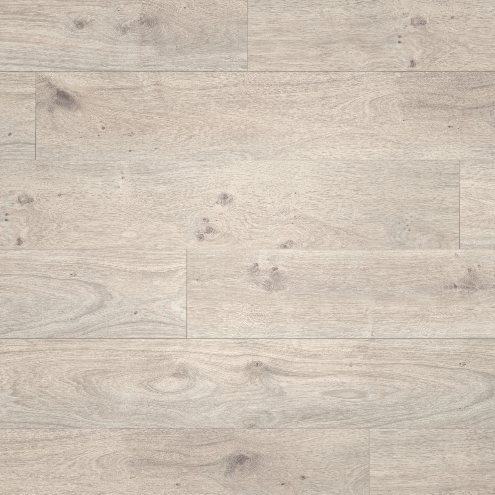Draufsicht - Parador Laminat Basic 400 Eiche Natur Grau Draufsicht - Parador 1593798