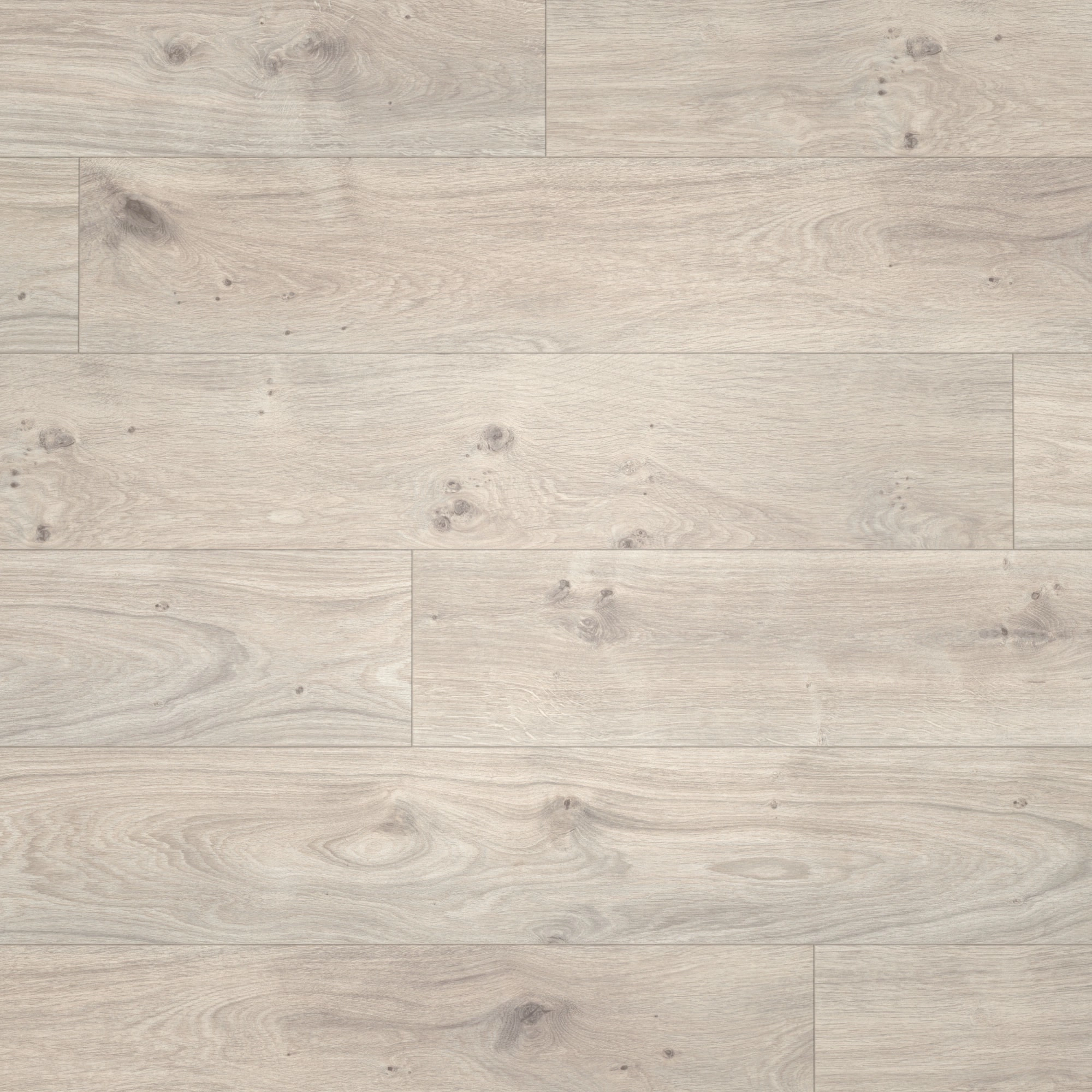 Draufsicht - Parador Laminat Basic 400 Eiche Natur Grau Draufsicht - Parador 1593798