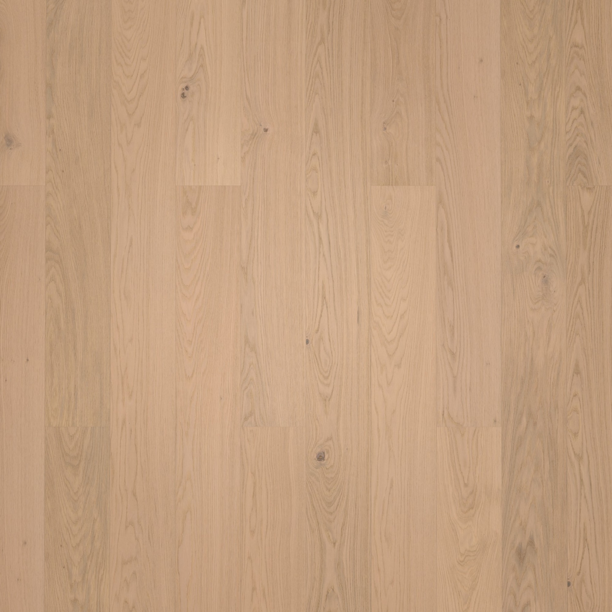 Friends by ter Hürne Holzboden Hywood Eiche Vreni 330 Ausgeglichen Gebürstete Struktur Natur-Geölt Friends by ter Hürne Holzboden Hywood Eiche Vreni 330 Ausgeglichen Gebürstete Struktur Natur-Geölt