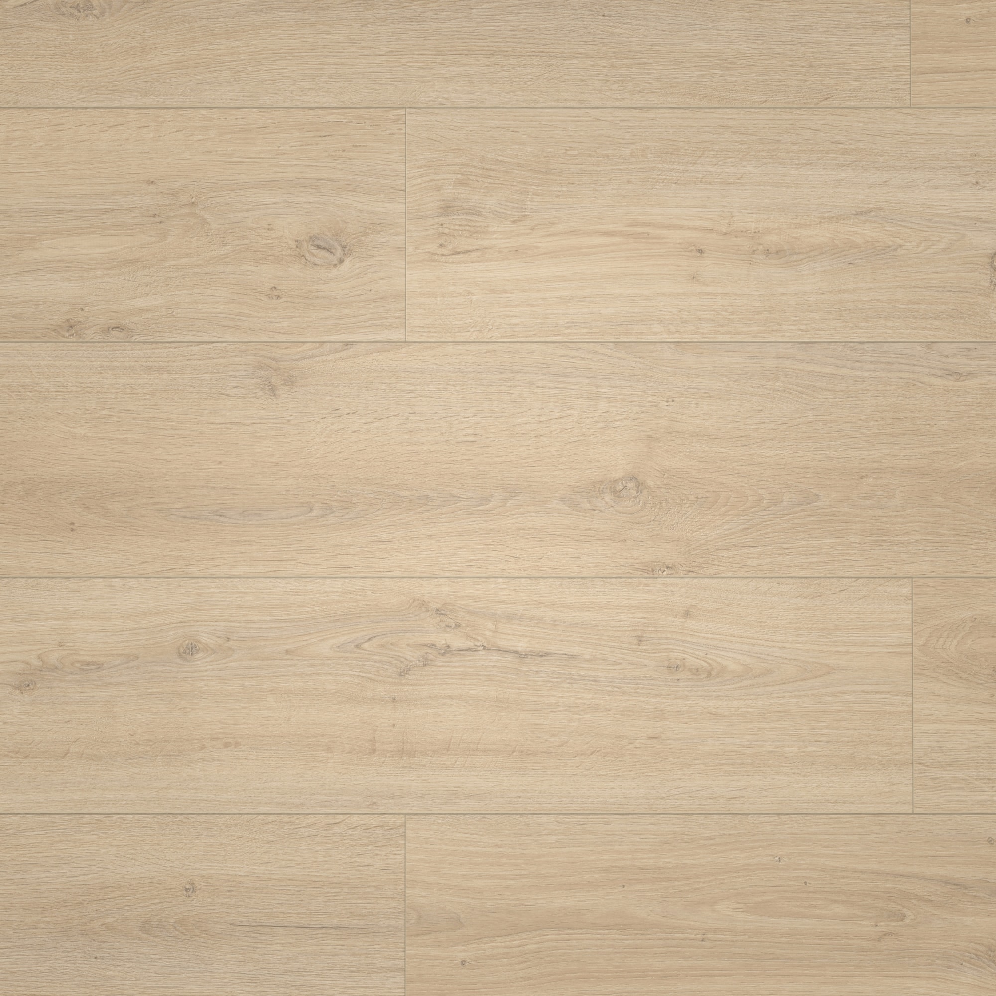Draufsicht - Meister Laminat LD 150 Felseneiche sand Draufsicht - Meister 600017-1288198-07122