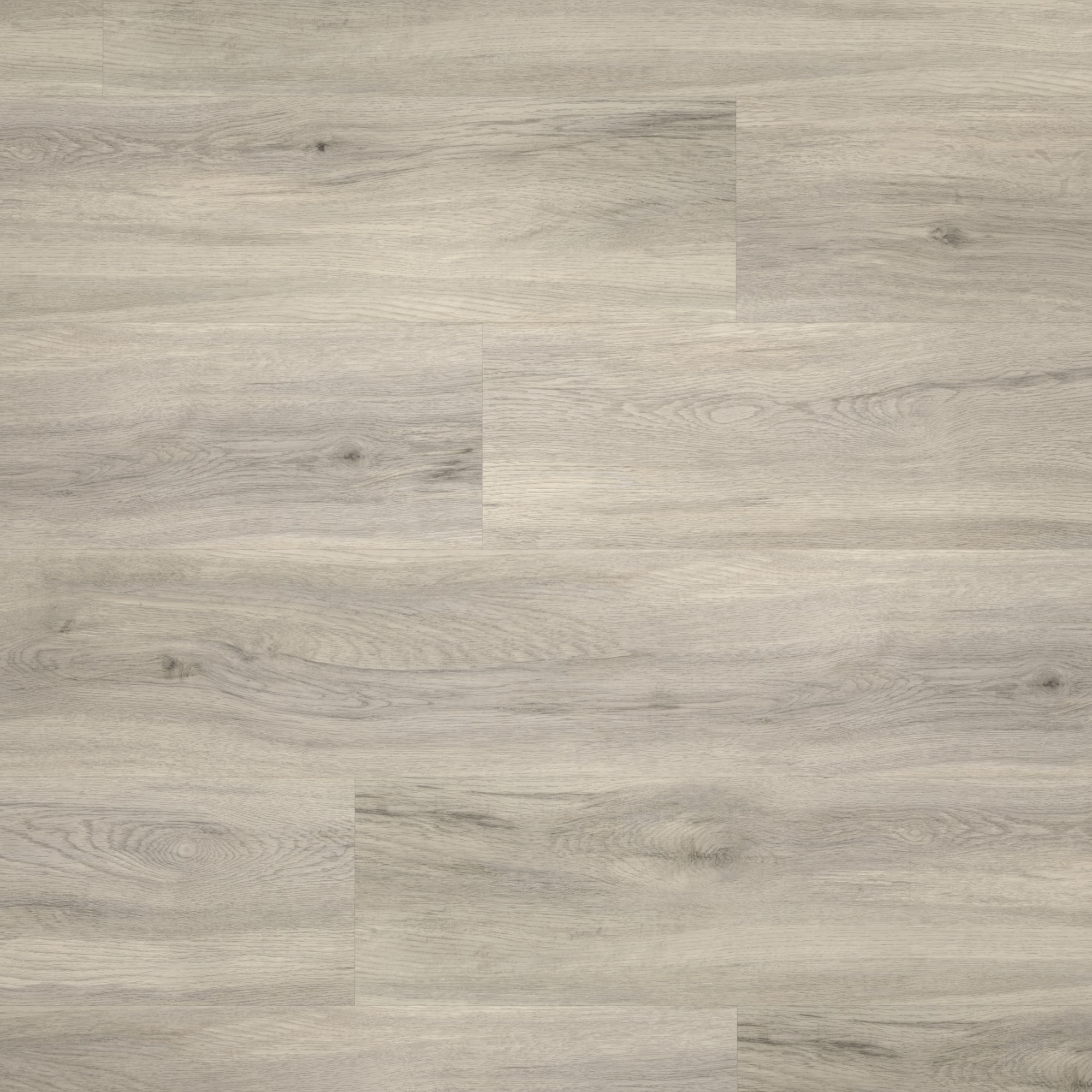 Draufsicht - Parador HDF Klick-Vinyl Basic 30 Eiche pastellgrau Draufsicht - Parador 1513441