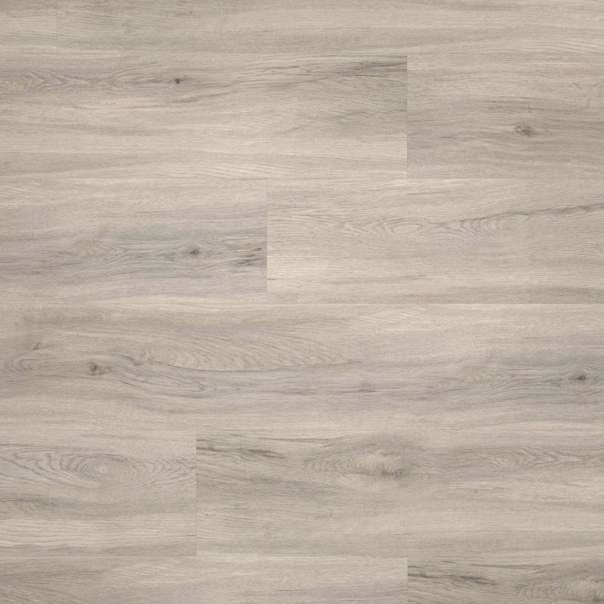 Draufsicht - Parador HDF Klick-Vinyl Basic 30 Eiche pastellgrau Draufsicht - Parador 1513441