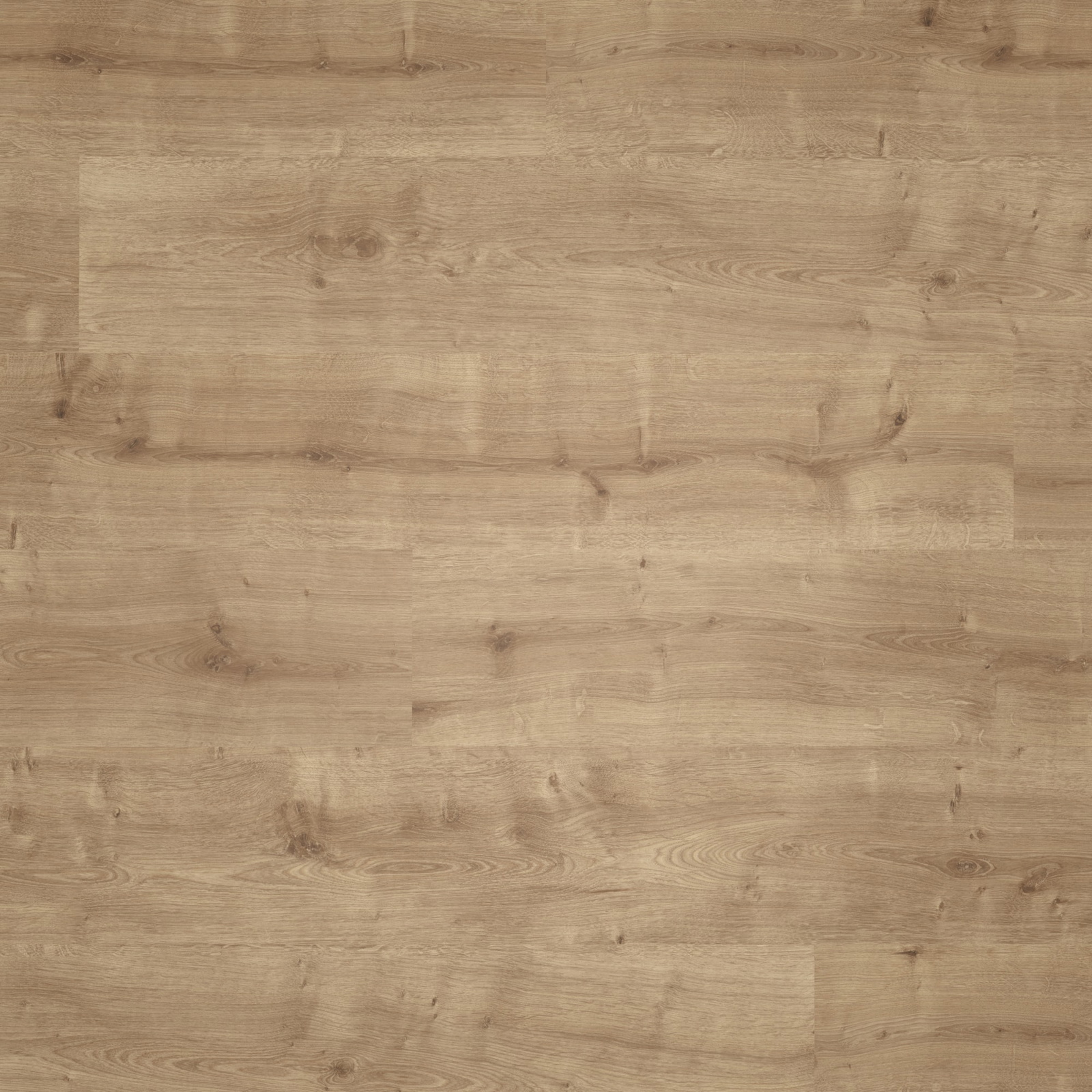 Parador Laminat Basic 400 Eiche karamell Seidenmatte Struktur 0V