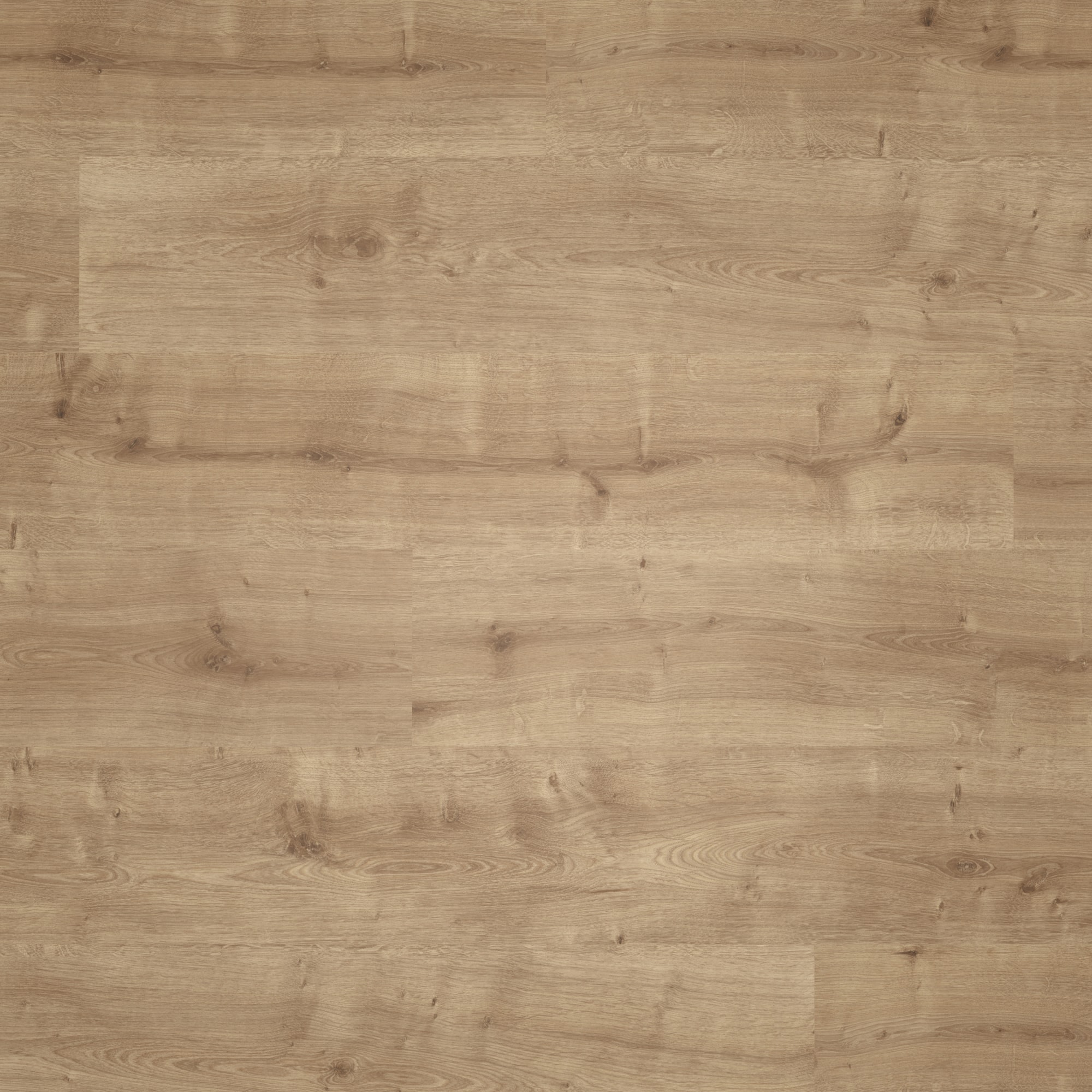 Parador Laminat Basic 400 Eiche karamell Seidenmatte Struktur 0V