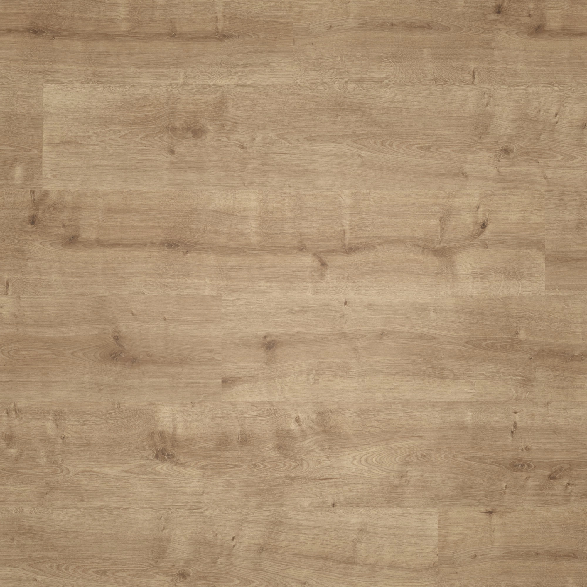 Parador Laminat Basic 400 Eiche karamell Seidenmatte Struktur 0V Parador Laminat Basic 400 Eiche karamell Seidenmatte Struktur 0V