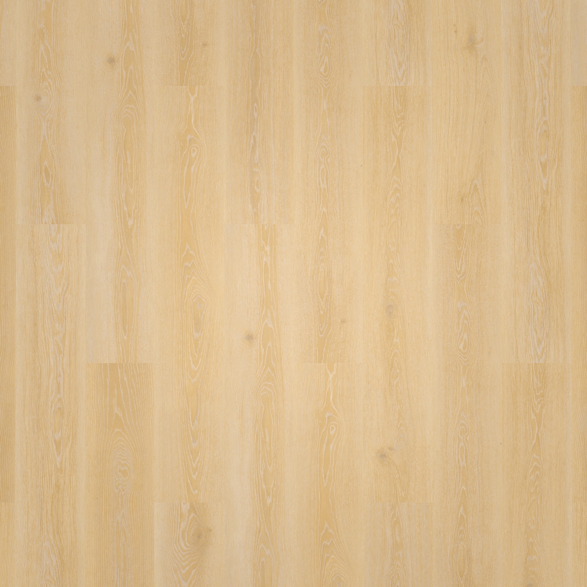 Draufsicht - Tarkett Klebe-Vinyl Essence 55 Tribe Oak Light Natural Draufsicht - Tarkett 260053007
