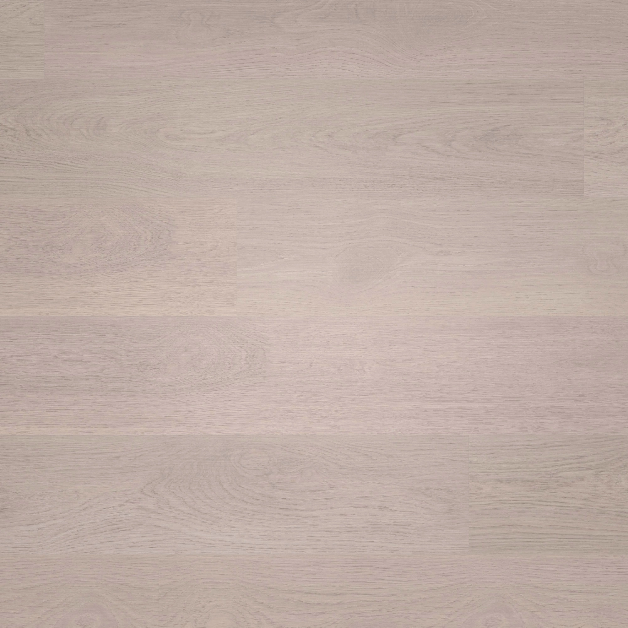 Draufsicht - wineo Klick-Bioboden PURLINE wineo 1000 wood L Soft Oak Silver Draufsicht - wineo PLC302R