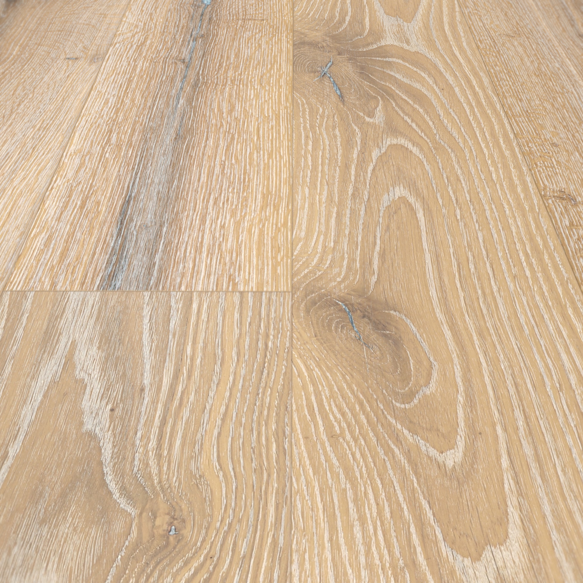 Detail Ansicht - MEISTER 500139-2200210-20016