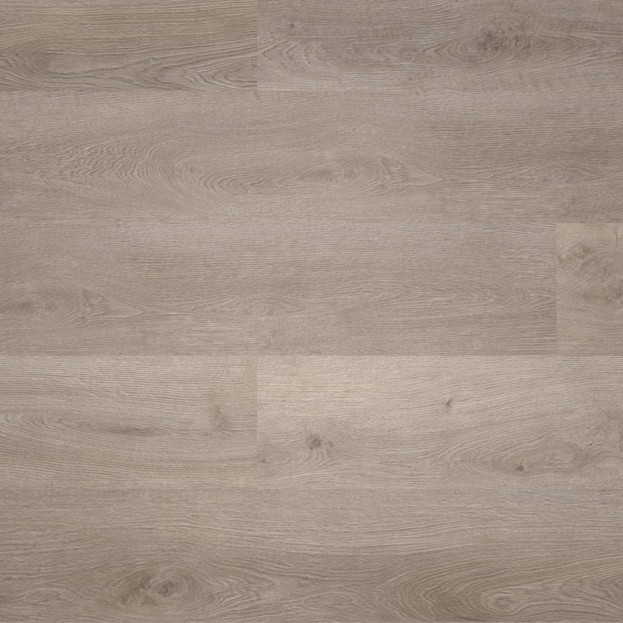 Draufsicht - wineo HDF Klick-Vinyl wineo 400 wood L Balanced Oak Grey Draufsicht - wineo MLD287WL