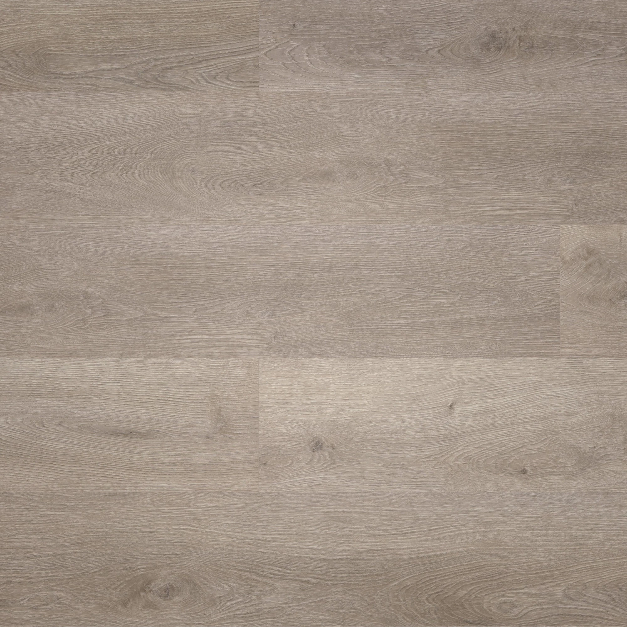 Draufsicht - wineo HDF Klick-Vinyl wineo 400 wood L Balanced Oak Grey Draufsicht - wineo MLD287WL