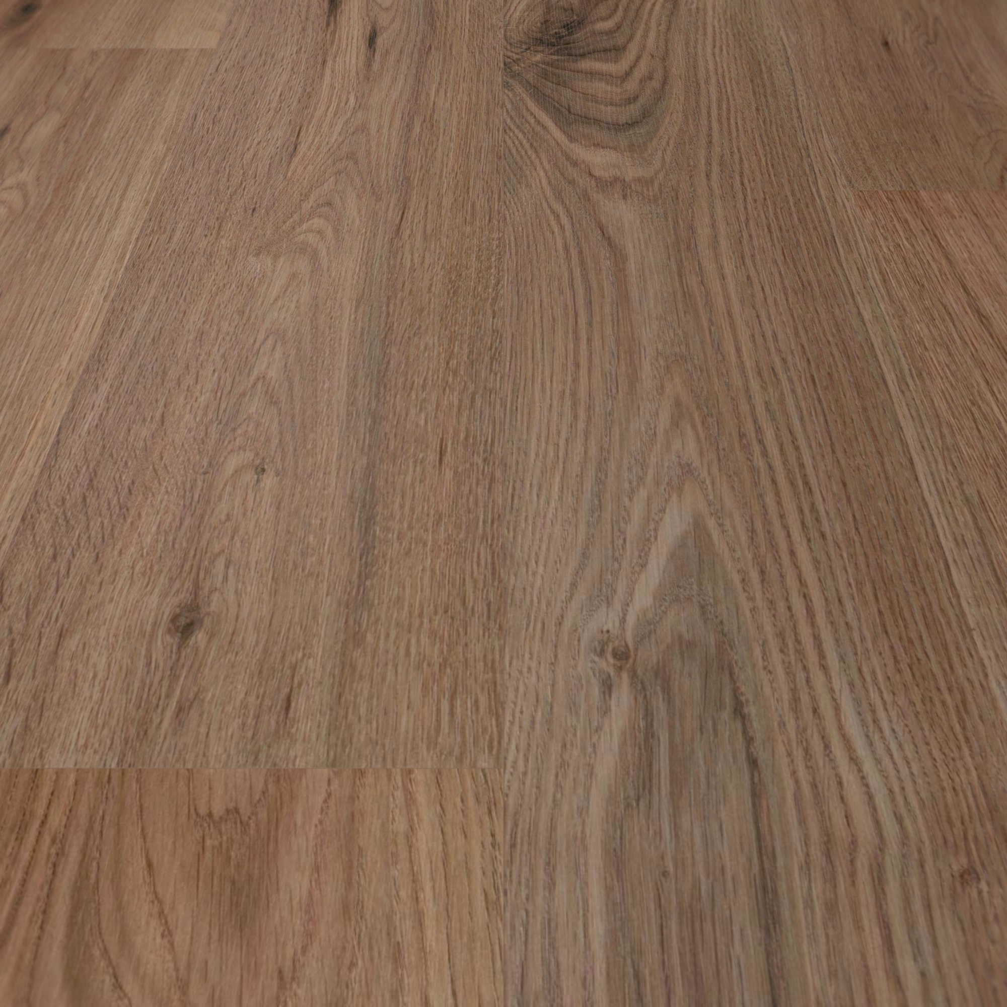 Detail Ansicht - wineo Klick-Bioboden PURLINE wineo 1000 wood L Strong Oak Cappuccino Detail Ansicht - wineo PLC303R