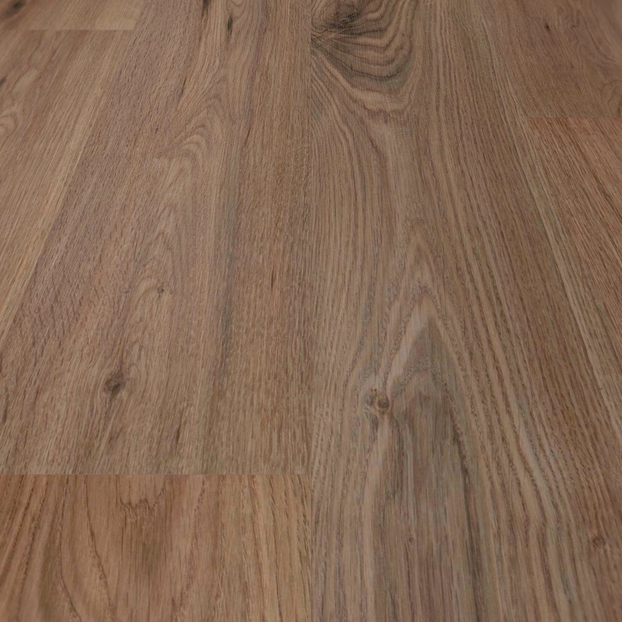 Detail Ansicht - wineo Klick-Bioboden PURLINE wineo 1000 wood L Strong Oak Cappuccino Detail Ansicht - wineo PLC303R