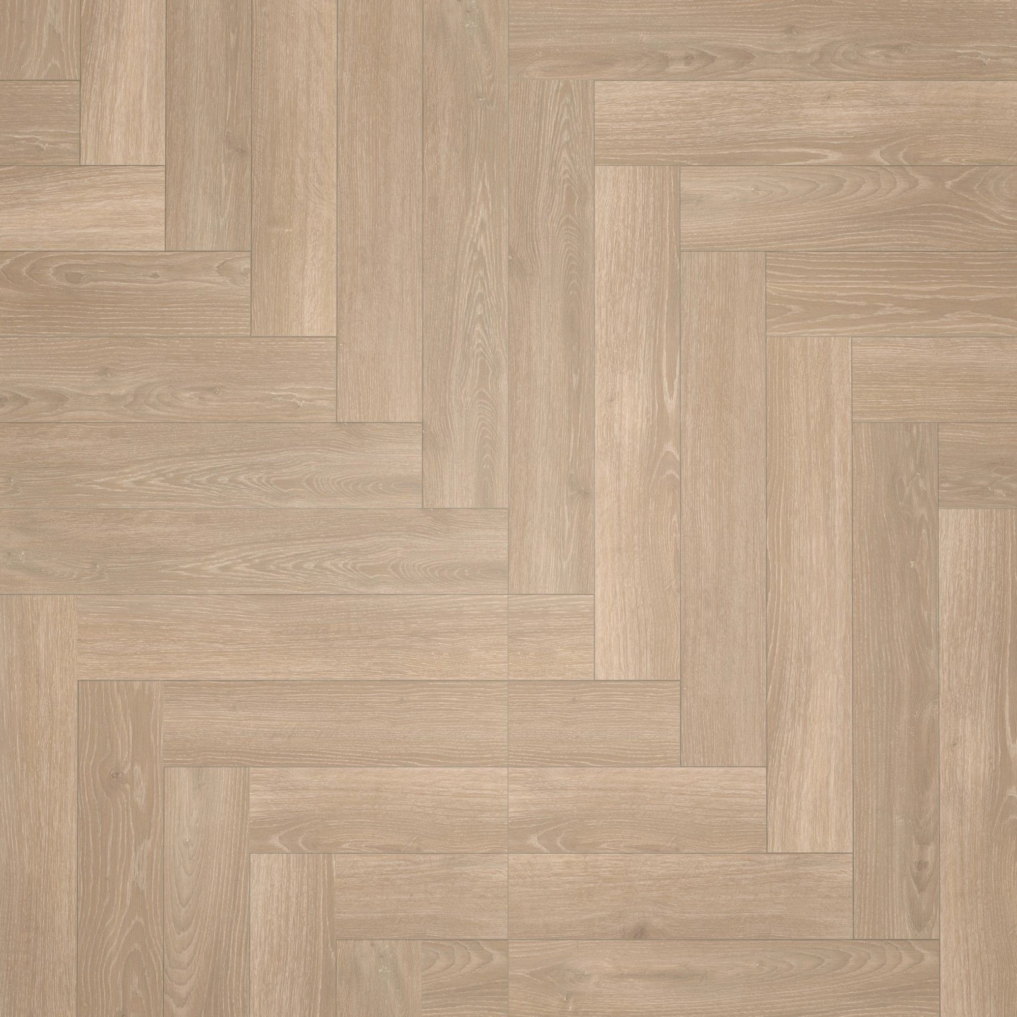 Draufsicht - Parador Laminat Trendtime 3 Eiche Skyline perlgrau Draufsicht - Parador 1747861