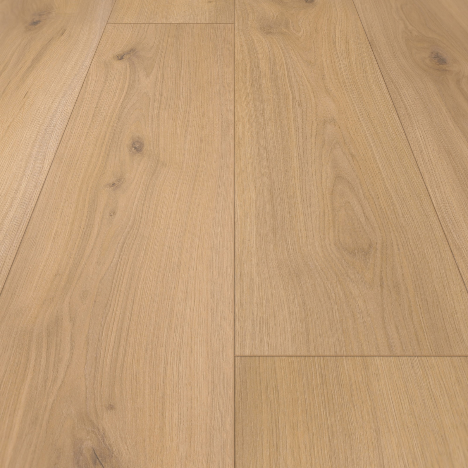 Parador Laminat Basic 400 Eiche Horizont Natur Seidenmatte Struktur 4V