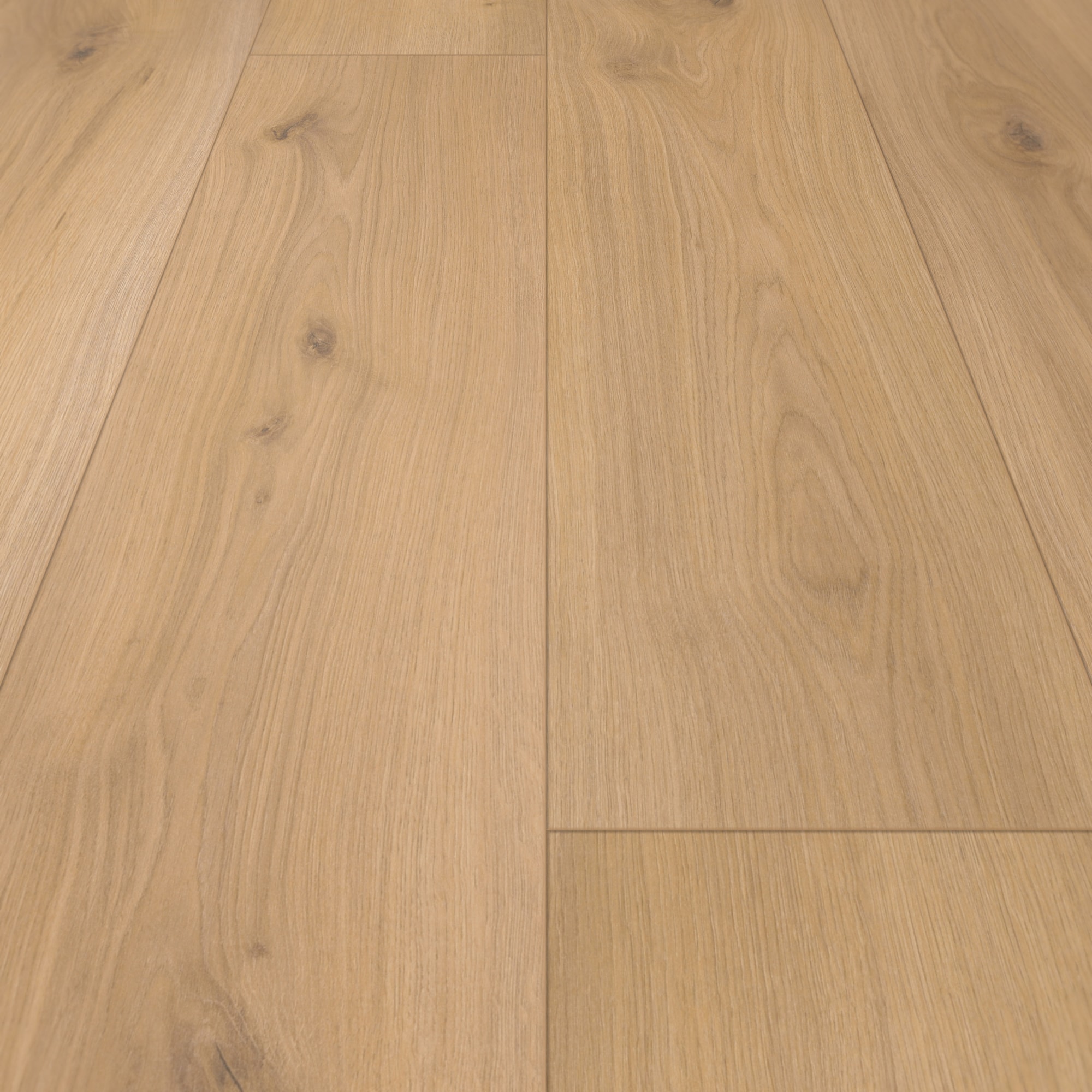 Parador Laminat Basic 400 Eiche Horizont Natur Seidenmatte Struktur 4V Parador Laminat Basic 400 Eiche Horizont Natur Seidenmatte Struktur 4V