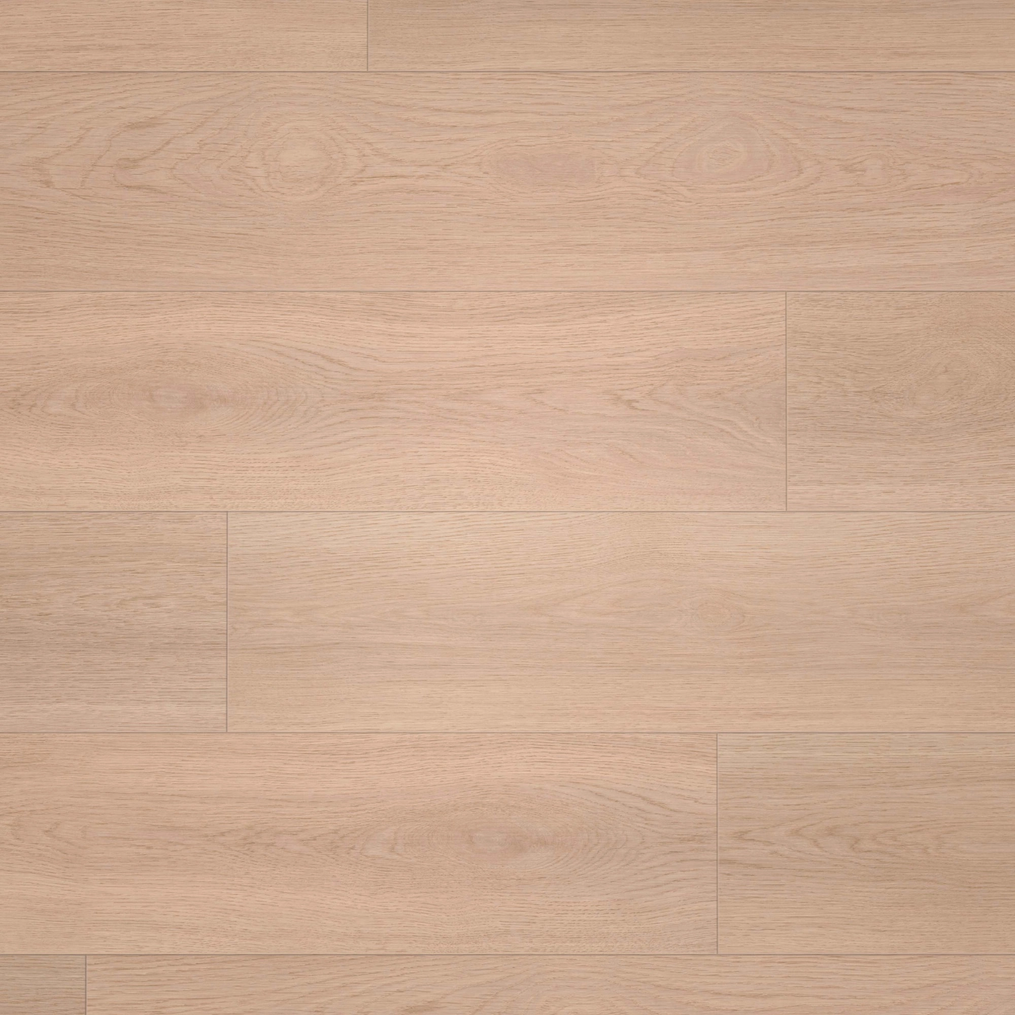 Draufsicht - wineo HDF Klick-Bioboden PURLINE wineo 1000 wood XL Calm Oak Shell Draufsicht - wineo MLP306R