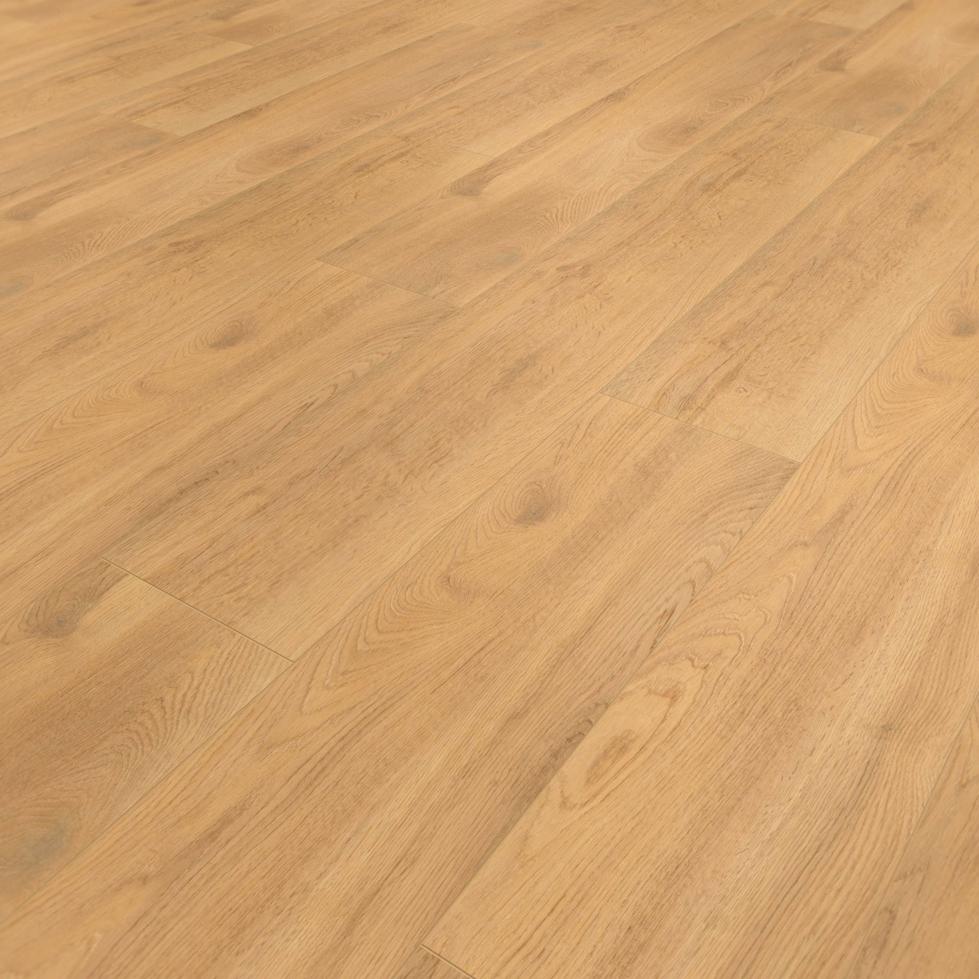 Perspektivische Ansicht - wineo Klebe-Bioboden PURLINE wineo 1200 wood XL Let's go Max Perspektivische Ansicht - wineo PL270R