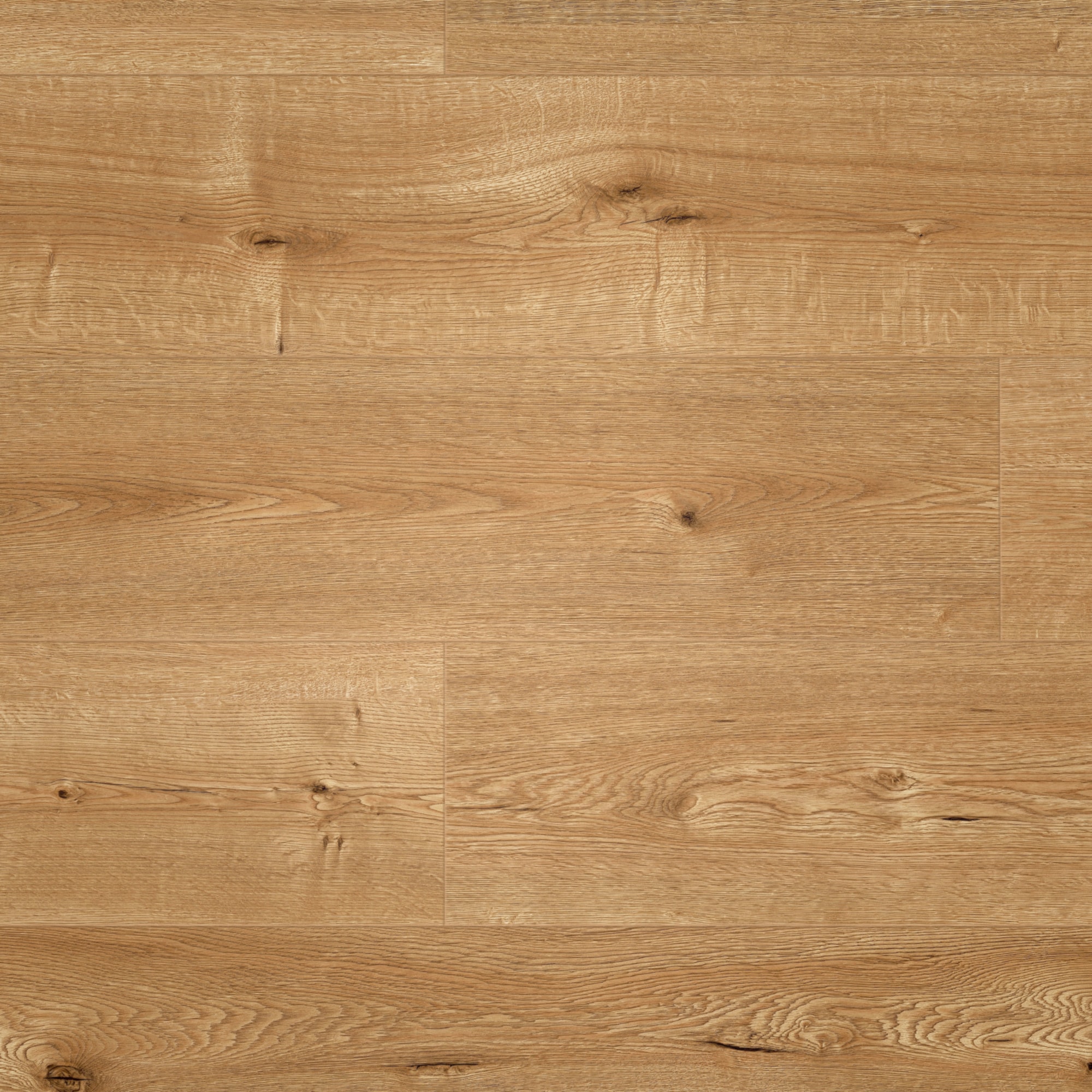 Draufsicht - MEISTER HDF Klick-Designboden DD 500 S Hill Oak Draufsicht - MEISTER 400054-1287220-07118