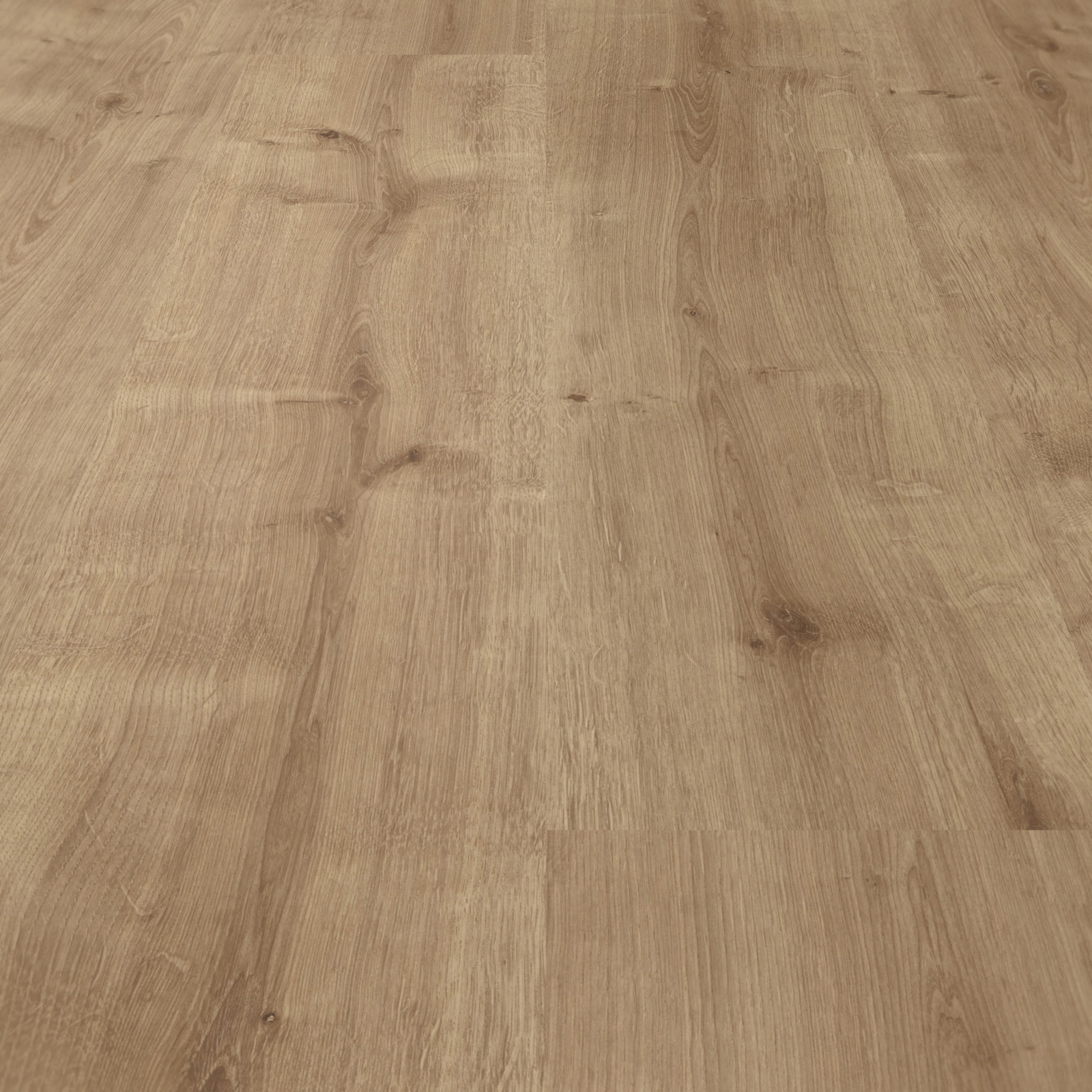 Parador Laminat Basic 400 Eiche karamell Seidenmatte Struktur 0V