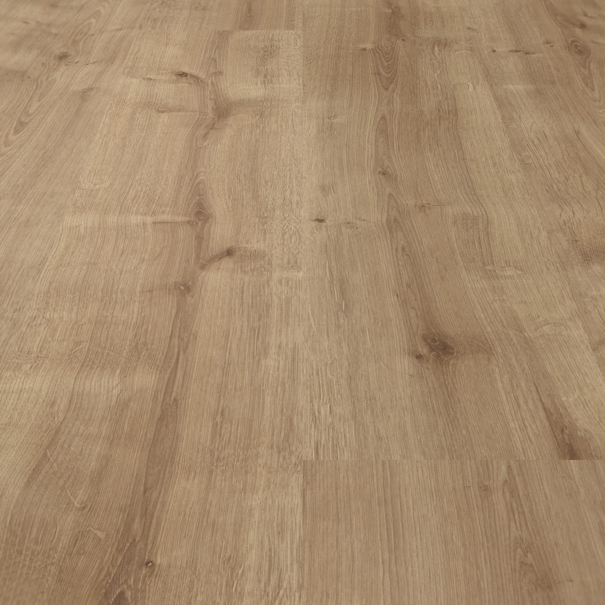 Parador Laminat Basic 400 Eiche karamell Seidenmatte Struktur 0V Parador Laminat Basic 400 Eiche karamell Seidenmatte Struktur 0V