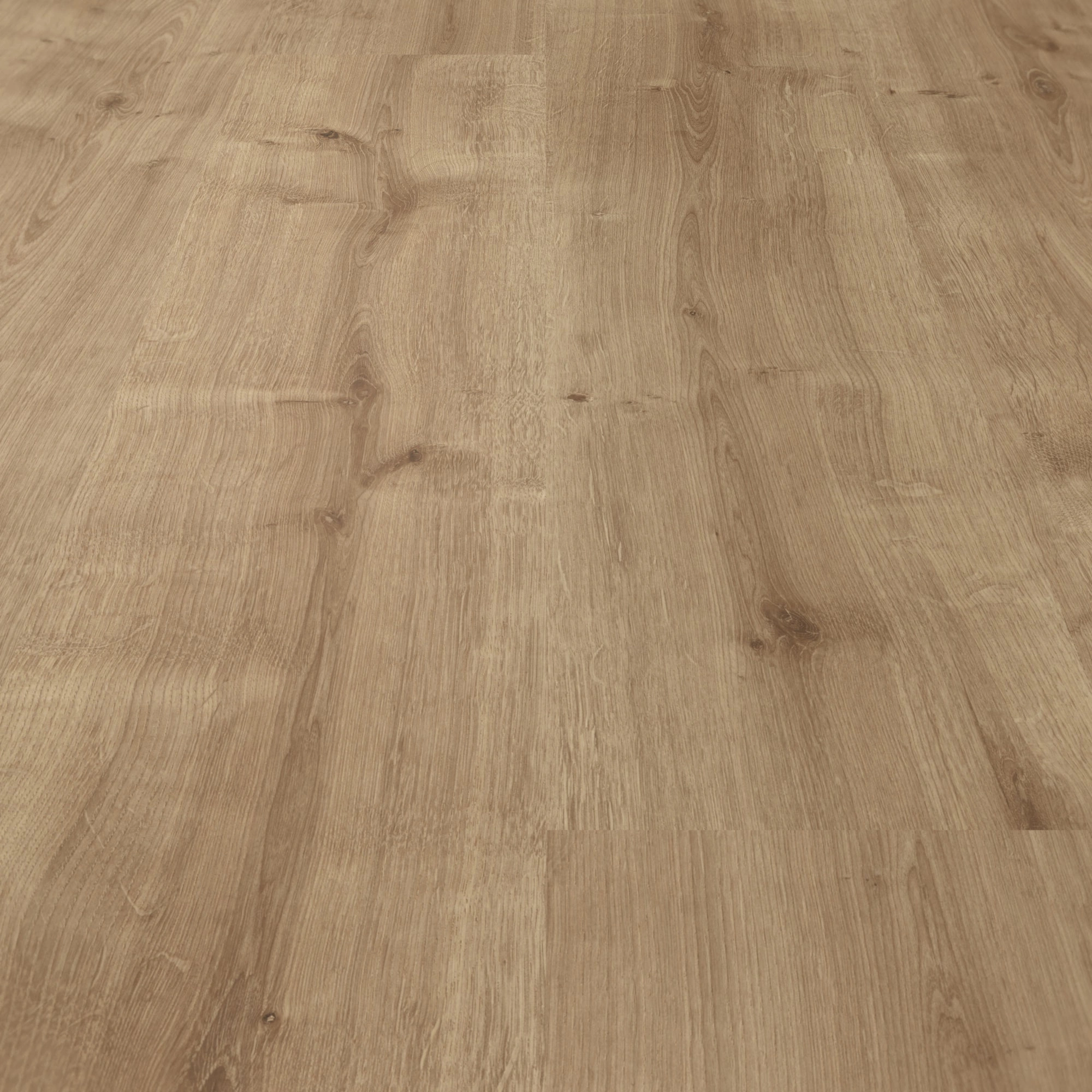 Parador Laminat Basic 400 Eiche karamell Seidenmatte Struktur 0V Parador Laminat Basic 400 Eiche karamell Seidenmatte Struktur 0V