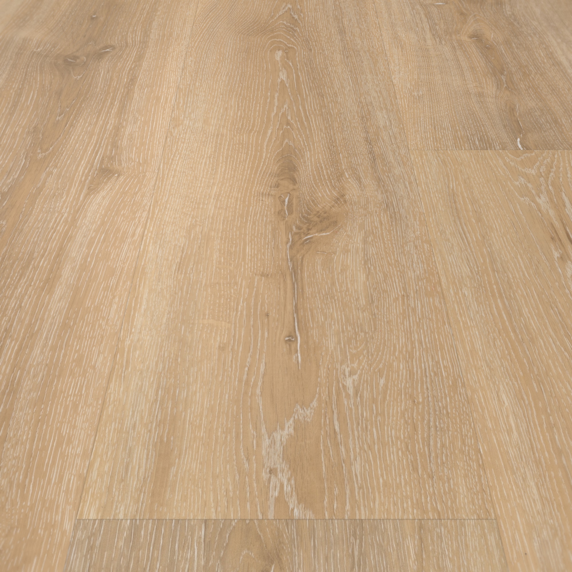 Detail Ansicht - Parador Klebe-Vinyl Basic 2.0 Eiche Royal hell gekälkt Detail Ansicht - Parador 1730780
