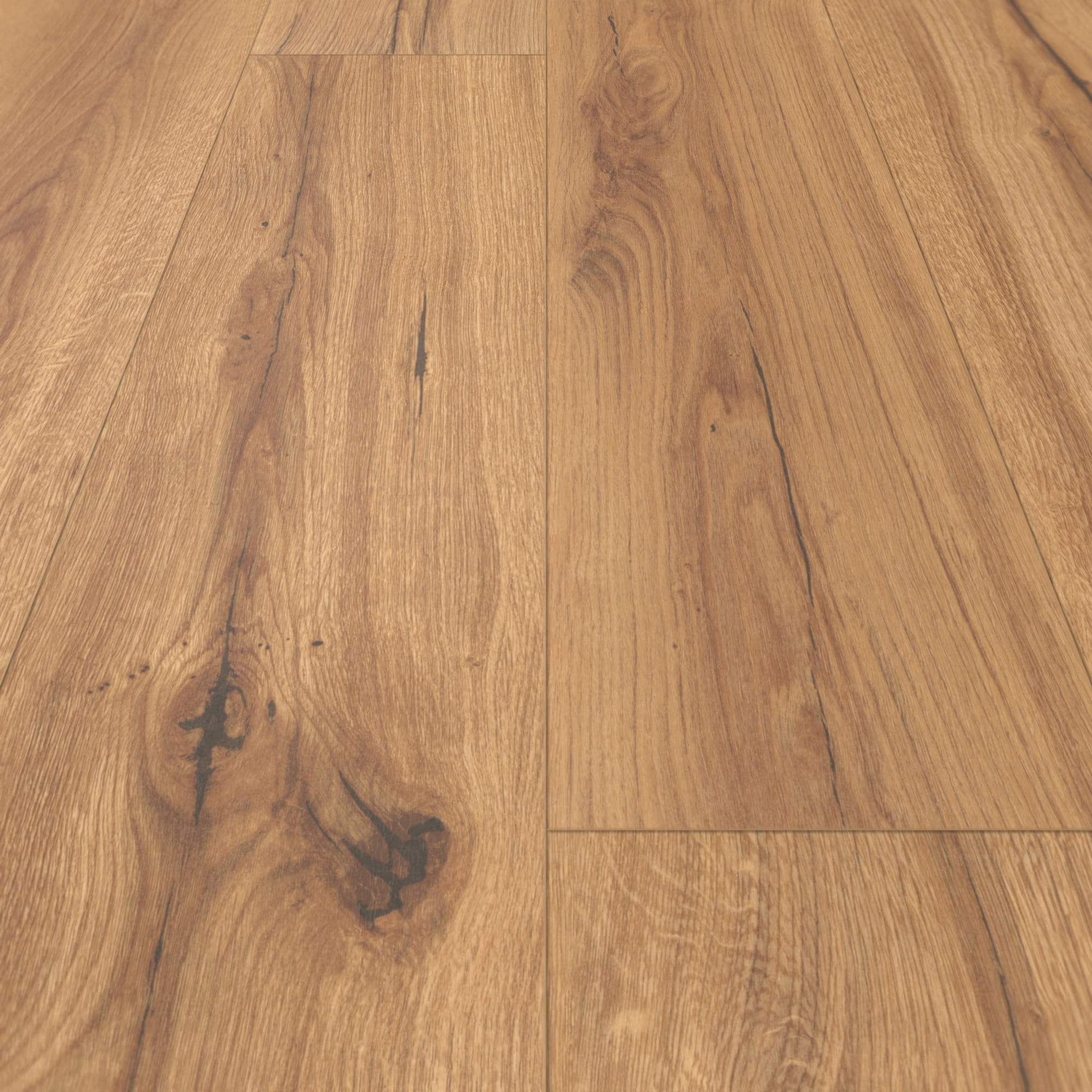 Parador Laminat Basic 400 Eiche History Seidenmatte Struktur 4V Parador Laminat Basic 400 Eiche History Seidenmatte Struktur 4V
