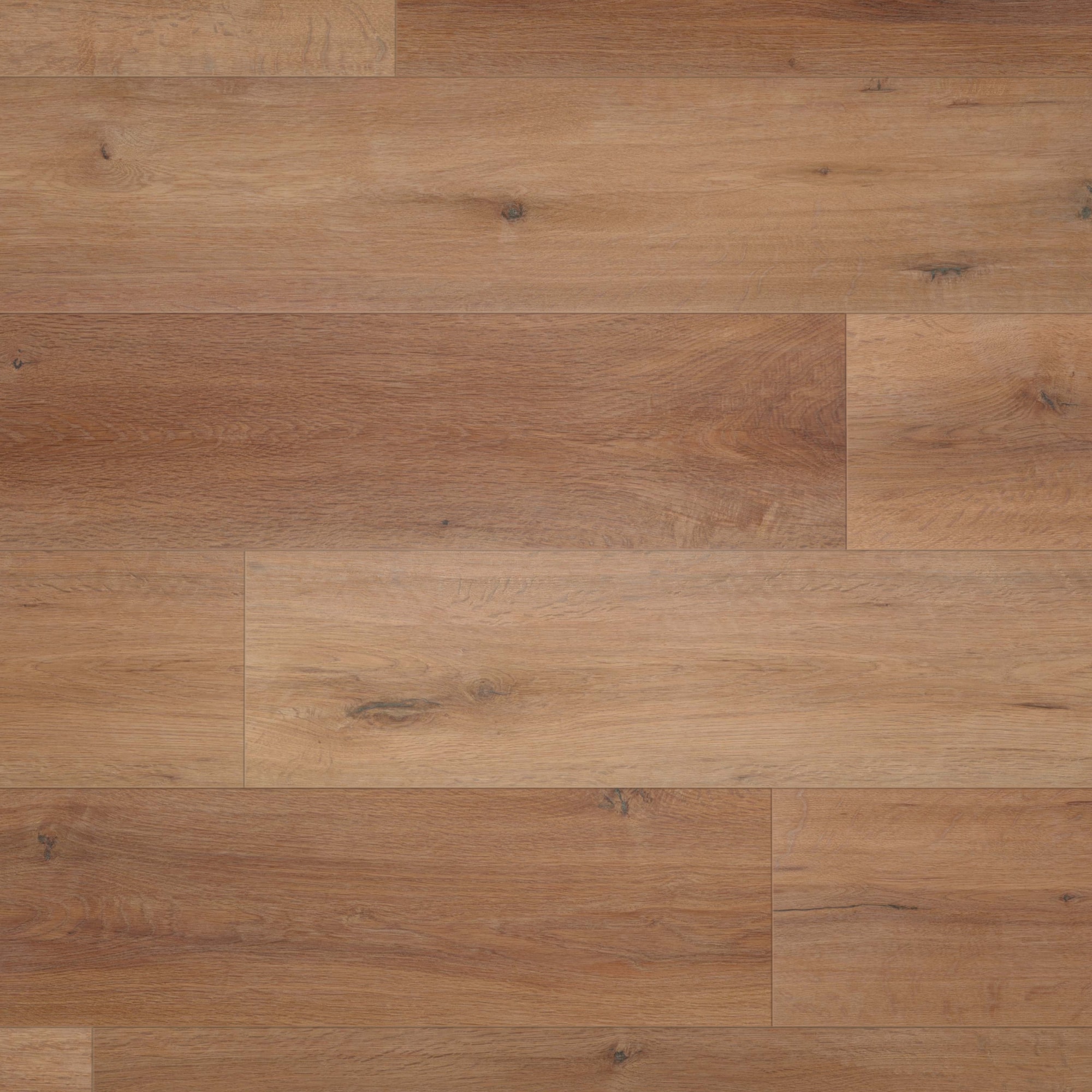 Draufsicht - wineo HDF Klick-Bioboden PURLINE wineo 1000 wood XL Rustic Oak Nougat Draufsicht - wineo MLP315R