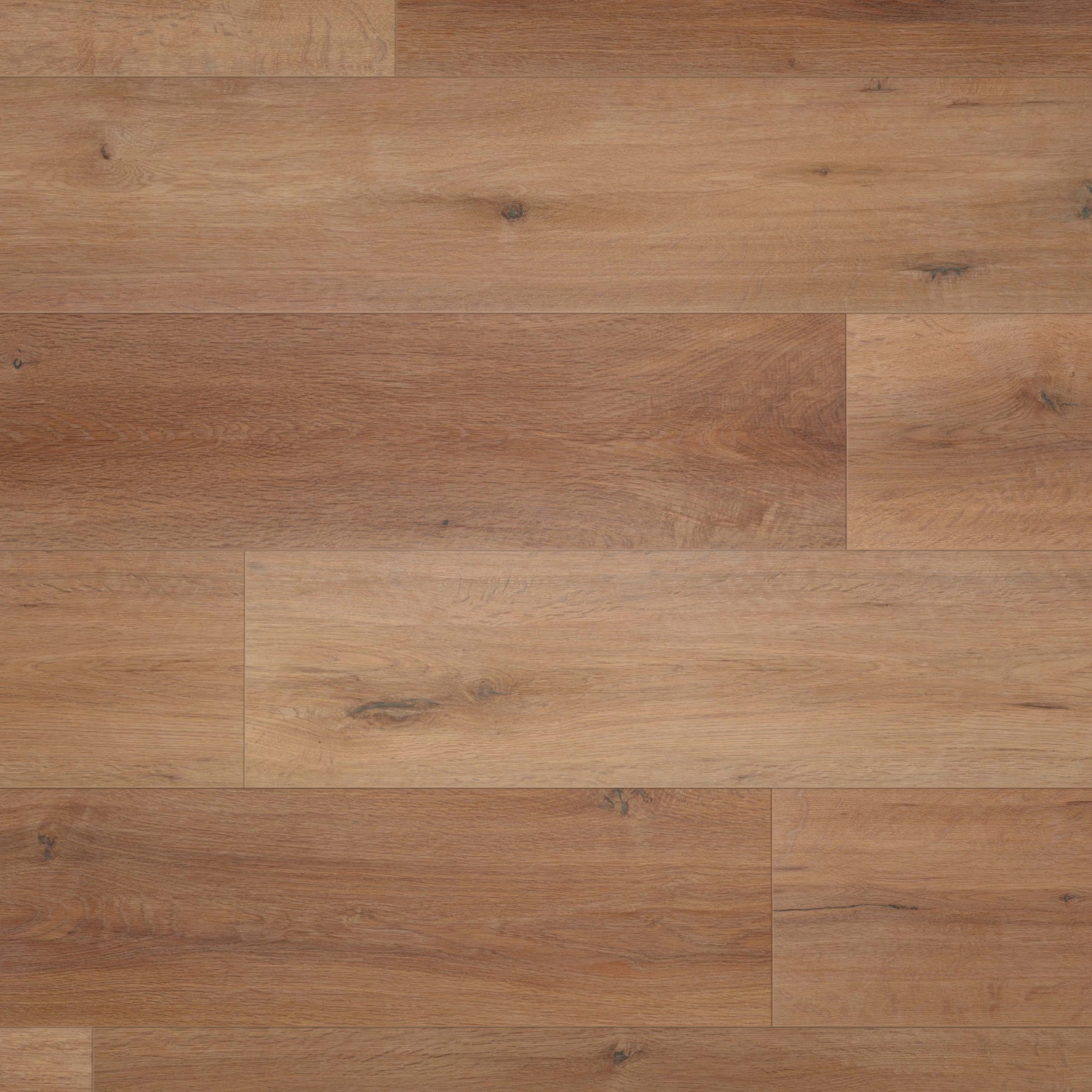 Draufsicht - wineo HDF Klick-Bioboden PURLINE wineo 1000 wood XL Rustic Oak Nougat Draufsicht - wineo MLP315R