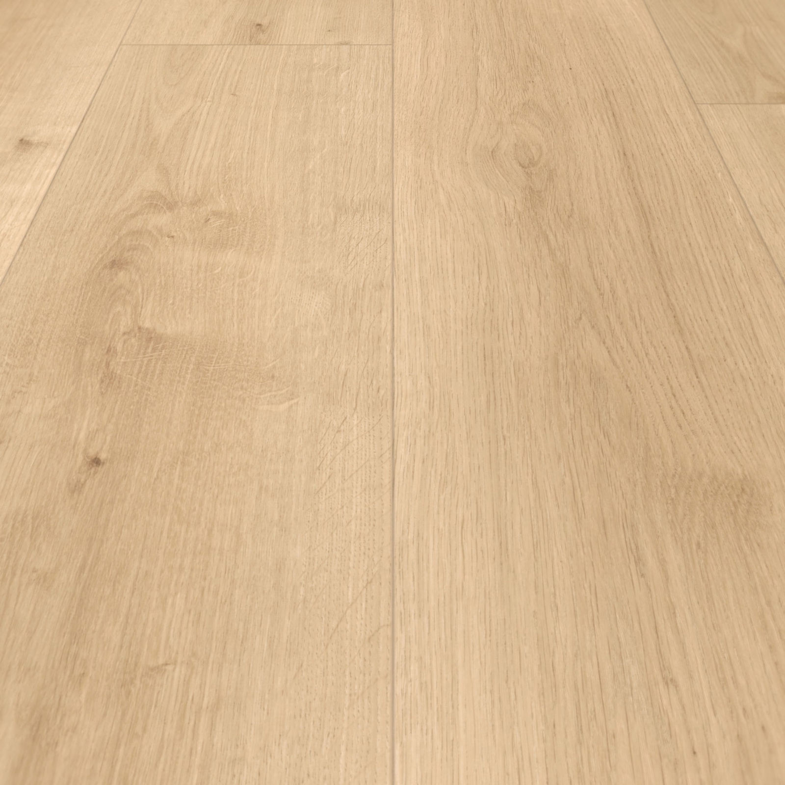 Parador HDF Klick-Designboden Modular ONE Eiche Pure hell Holzstruktur Schlossdiele
