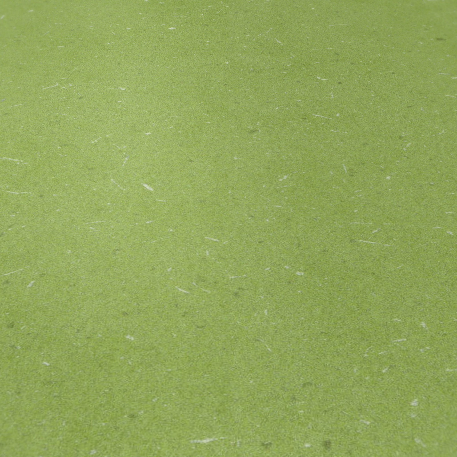 Detail Ansicht - wineo PLR380C