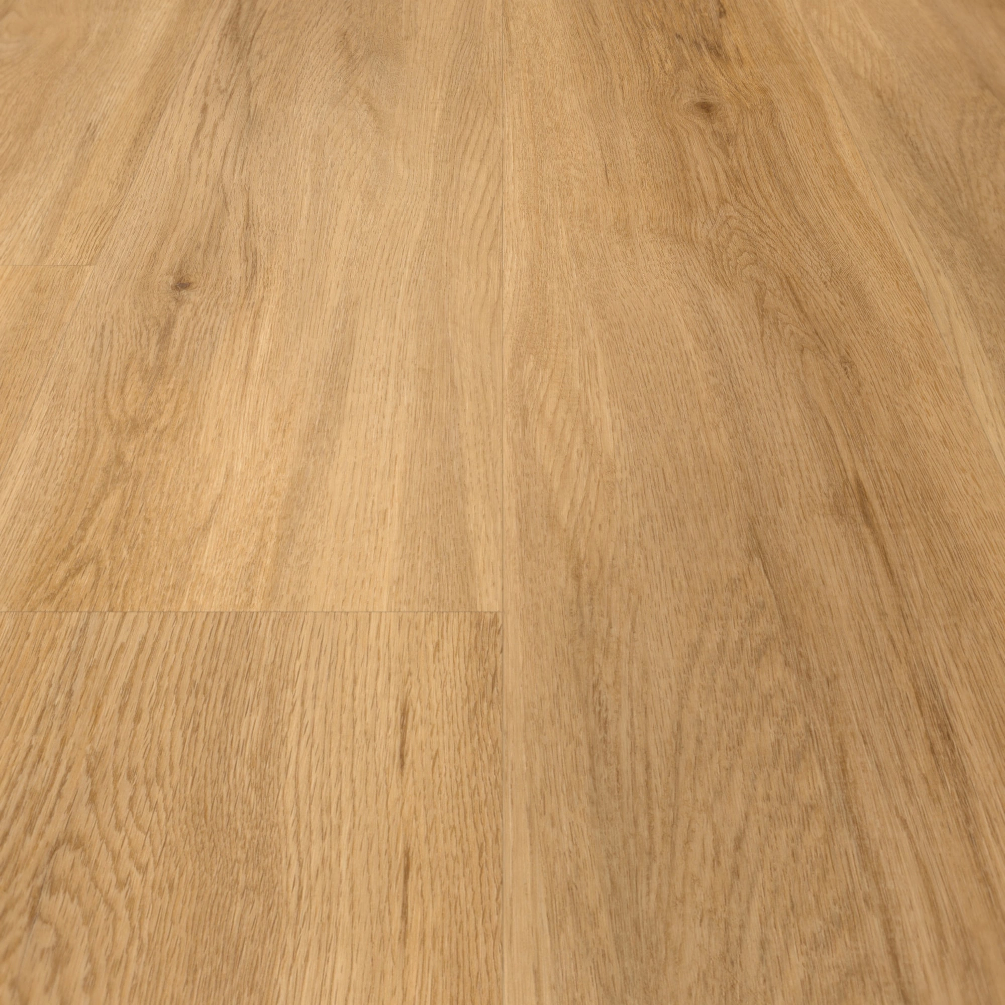 Detail Ansicht - Parador HDF Klick-Vinyl Basic 30 Eiche Sierra natur Detail Ansicht - Parador 1730632