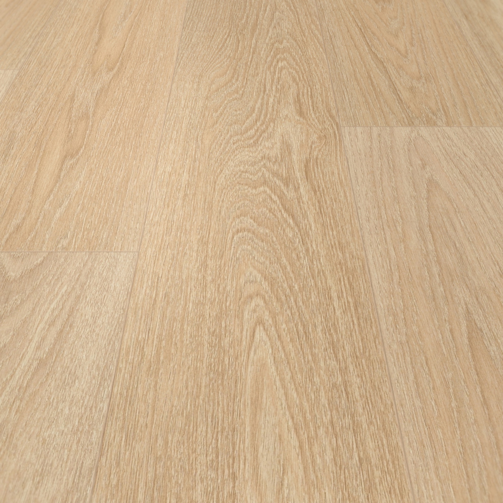 BerryAlloc Laminat Ocean 8 V4 Charme Light Natural Real Wood Structure