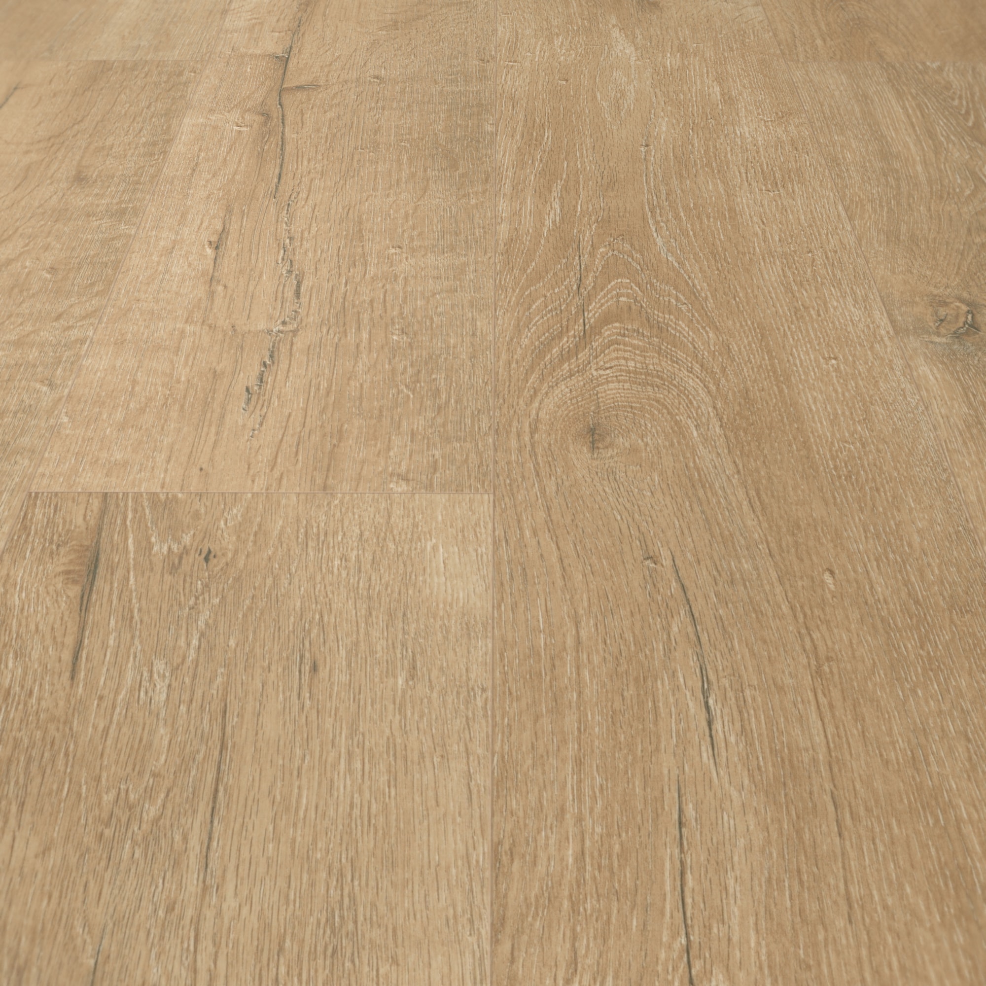 Detail Ansicht - MEISTER 600015-1288198-06953